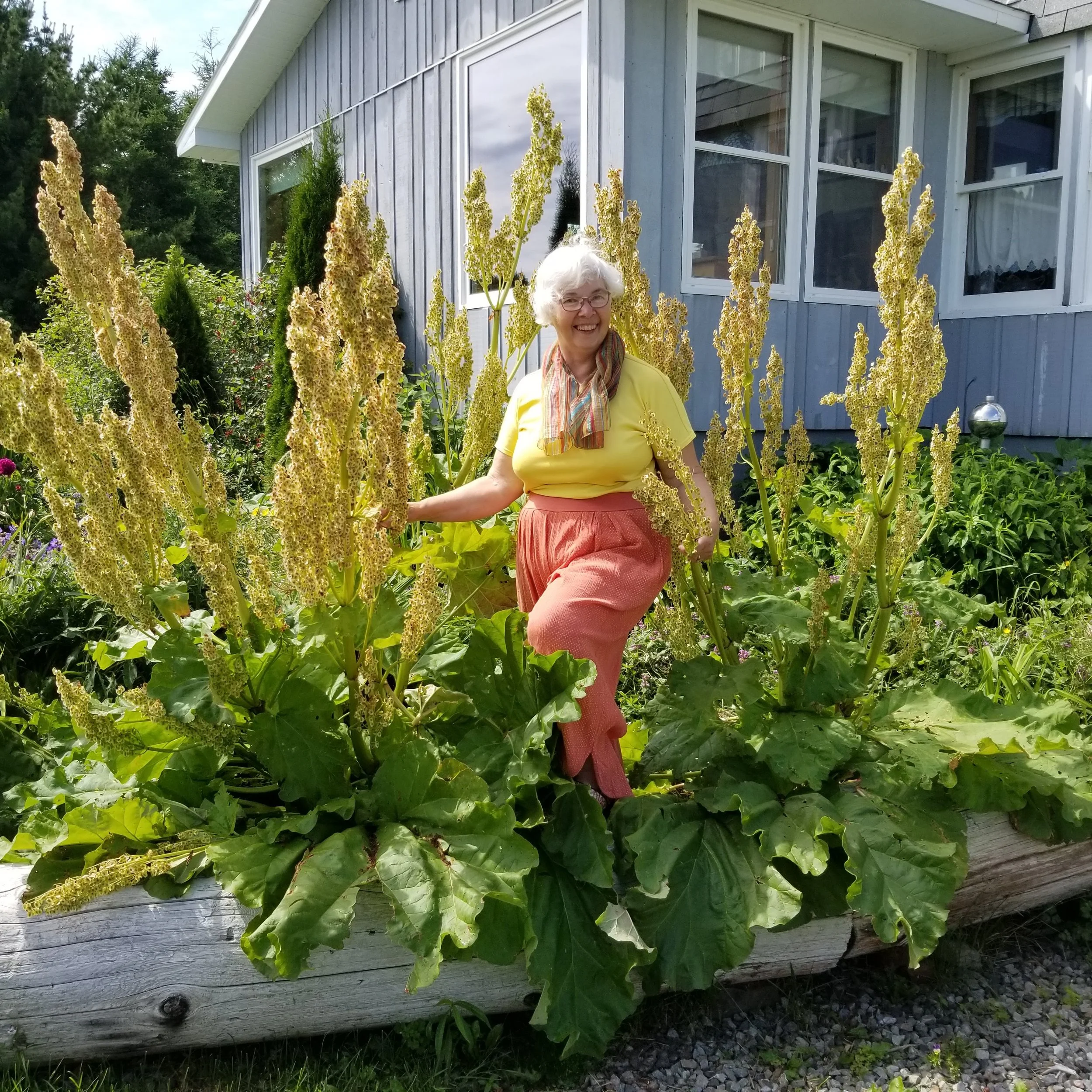 An elderly woman with white hair, wearing glasses, a yellow shirt, and a multicolored scarf, smiling while sitting among tall, yellow flowering plants in a garden outside a blue wooden house with large windows.