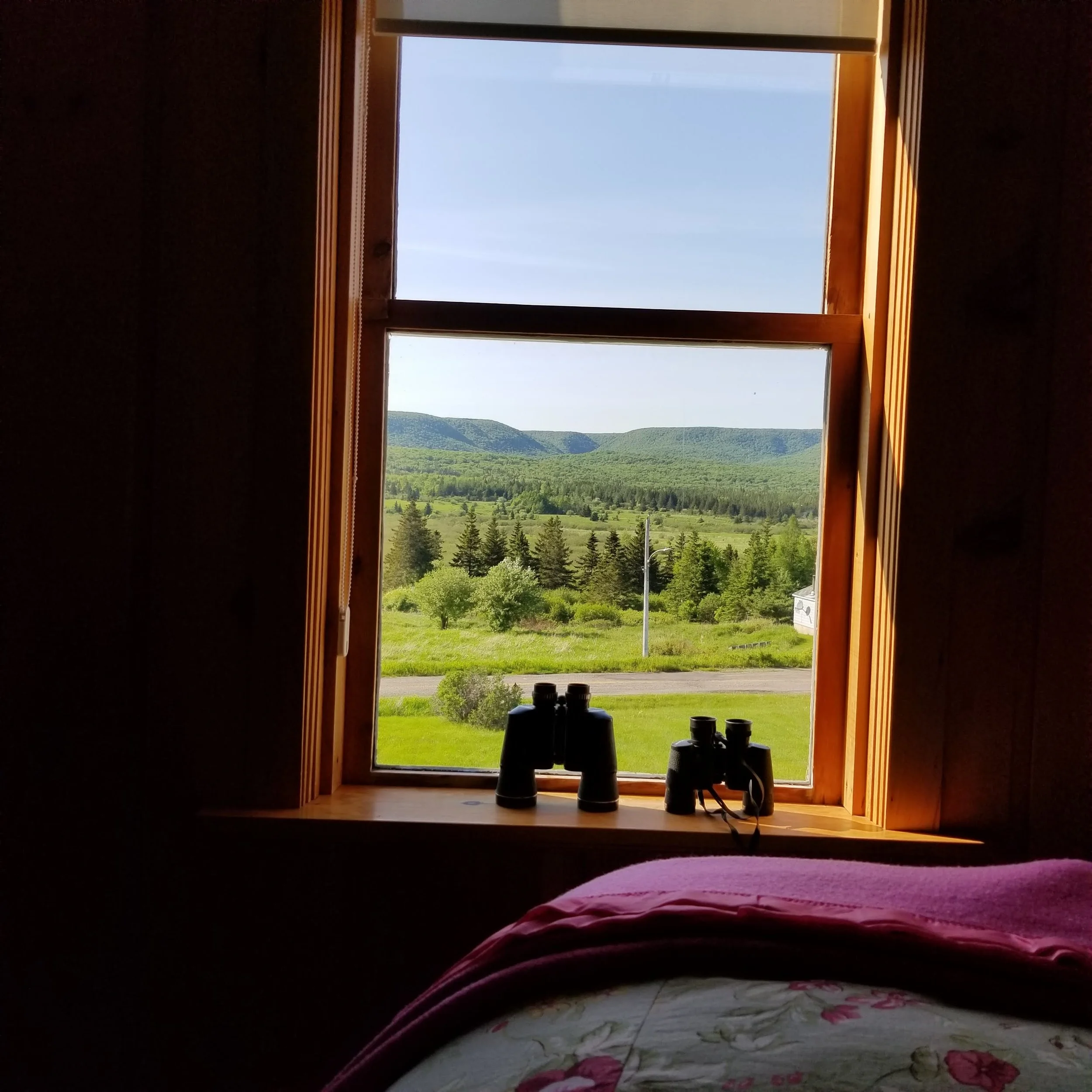 Bedroom viewed from bed with floral bedspread, looking out a window with a view of green hills and trees under a blue sky.