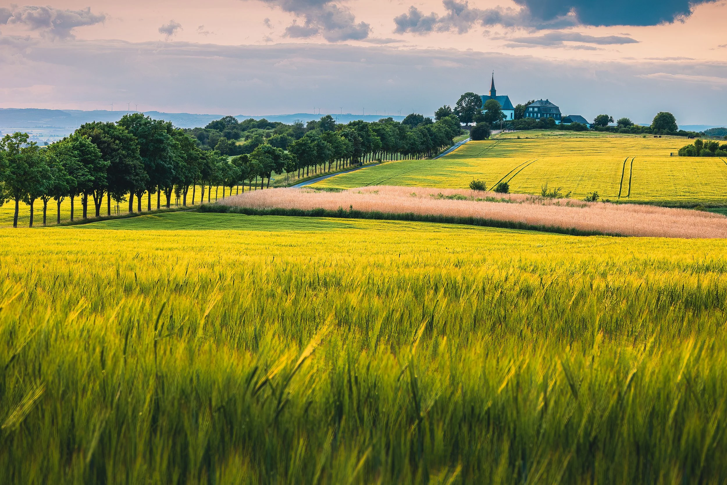 Golden fields and a tree-lined road near Bad Camberg