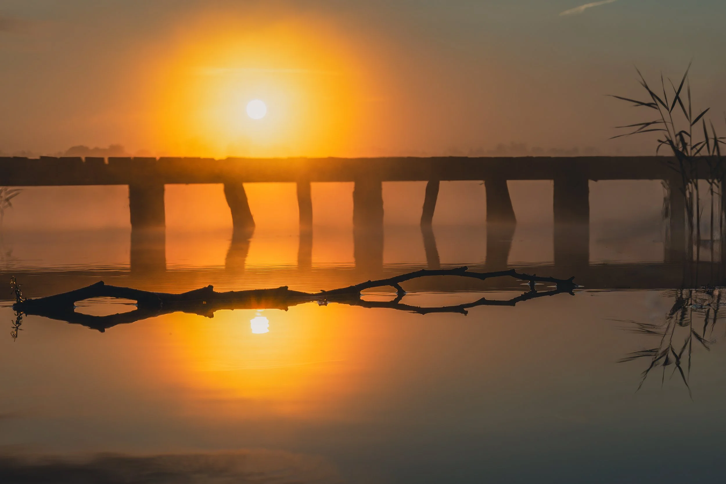 Wygryny, Poland (2024)