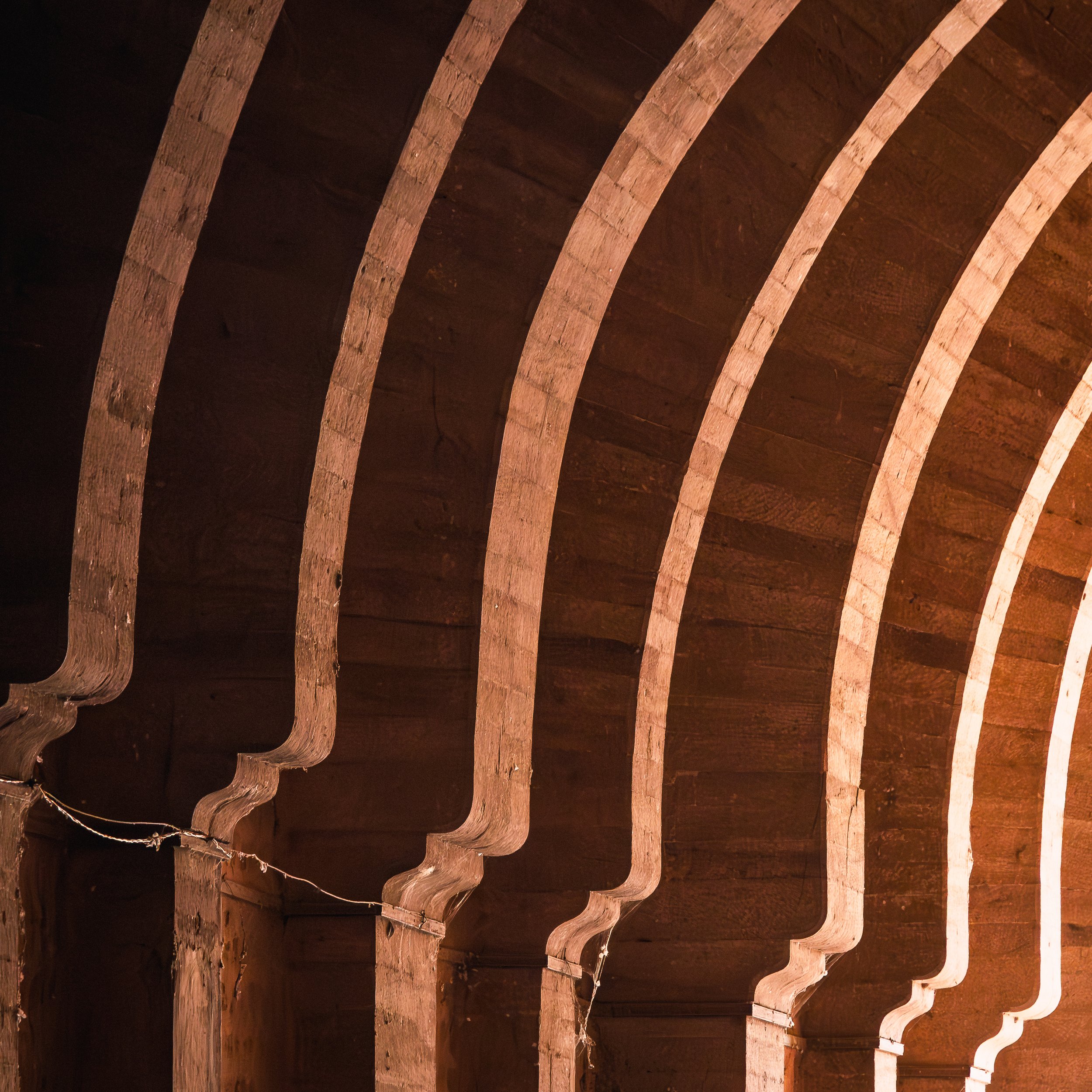 Rajasthan 2024 2321.jpg