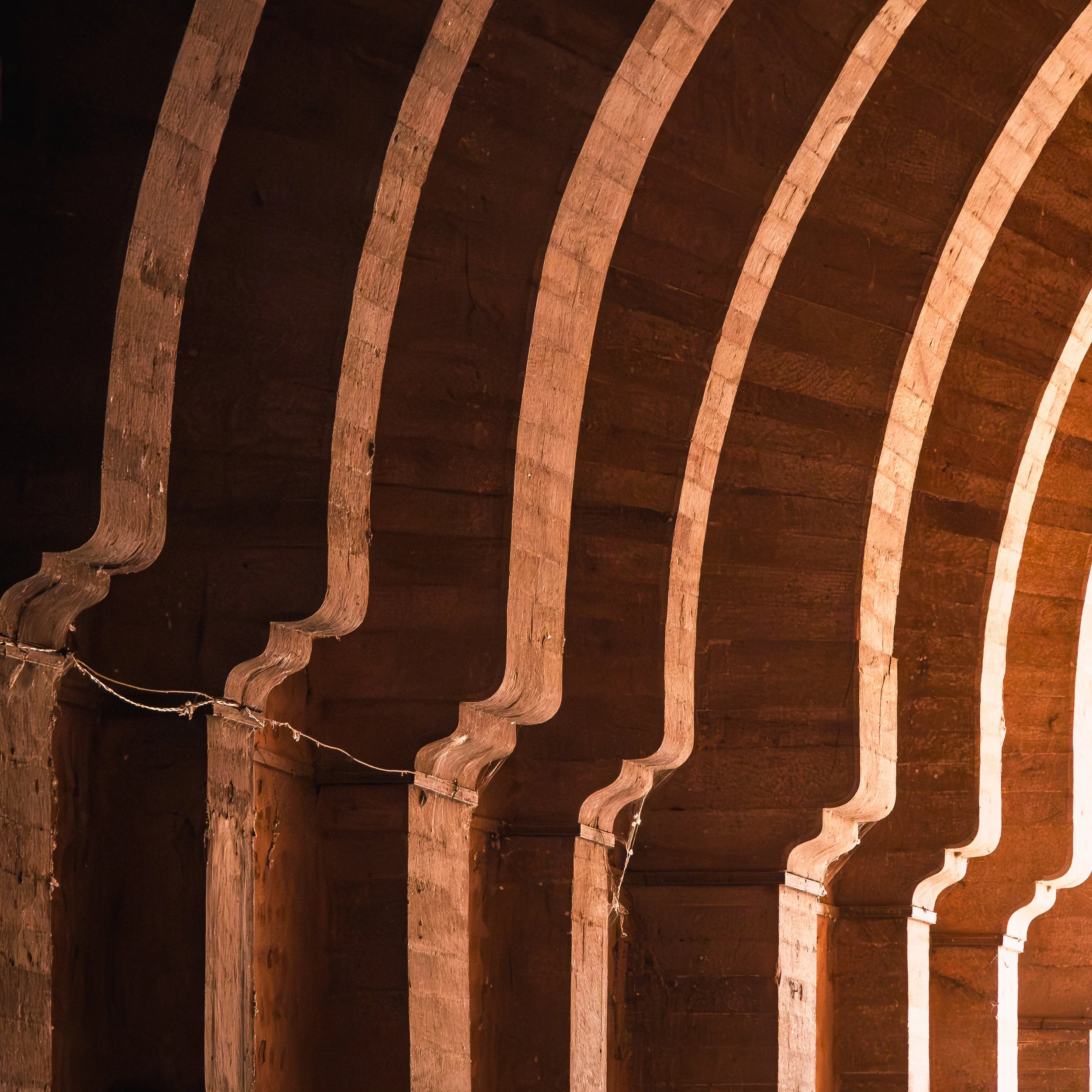 Rajasthan 2024 2321.jpg