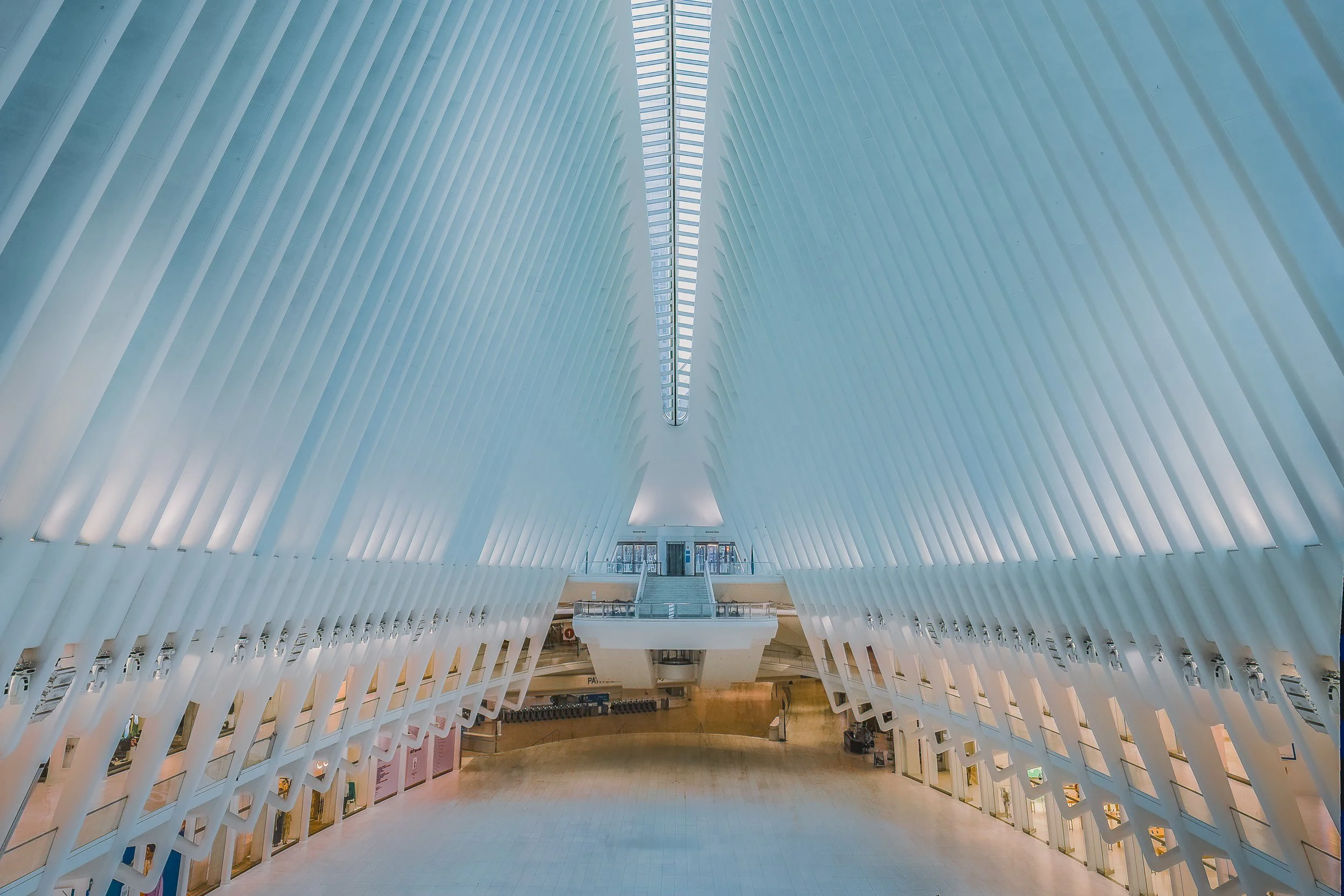 Symmetrical white interior of the Oculus in New York with sweeping ribbed architecture
