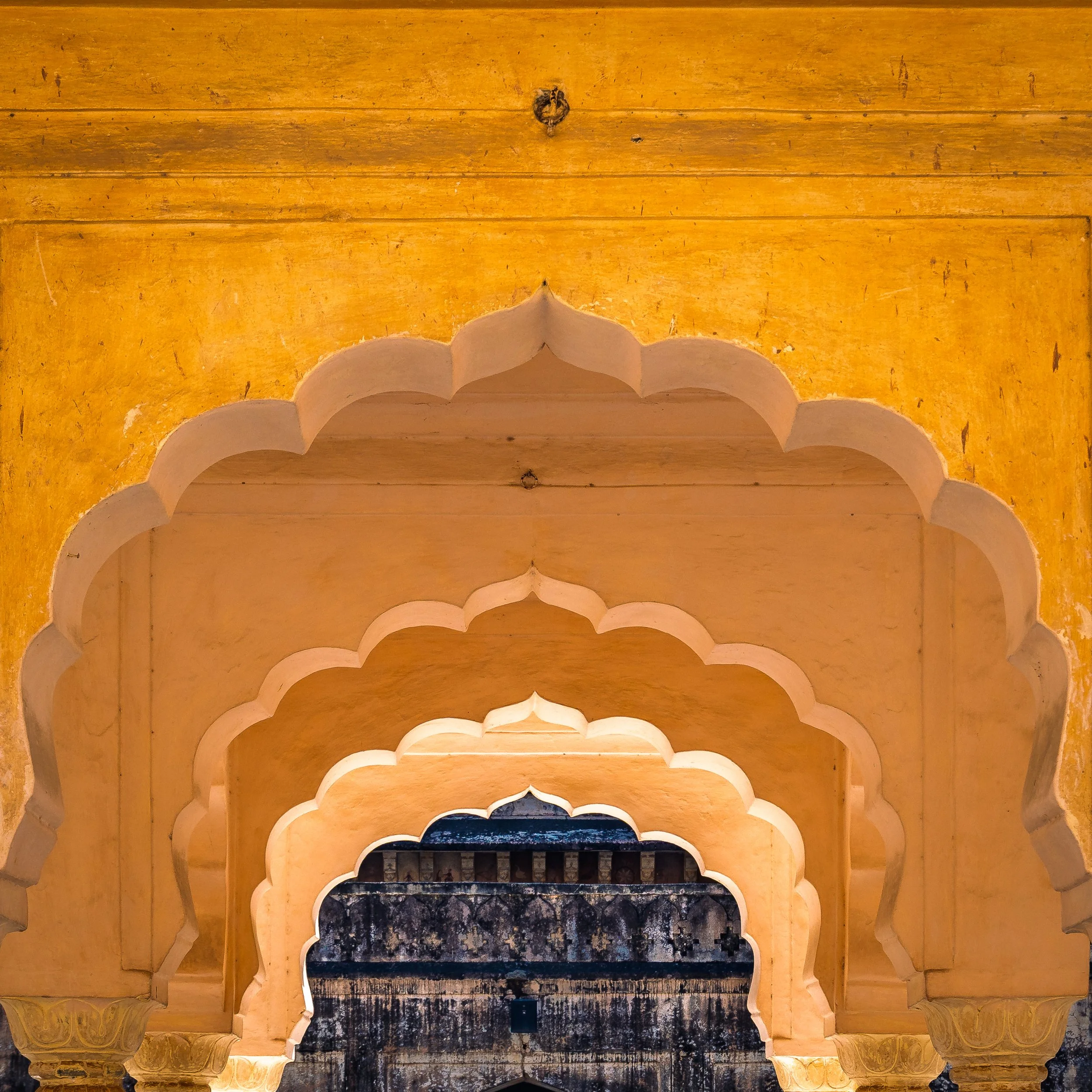 Rajasthan 2024 3761.jpg