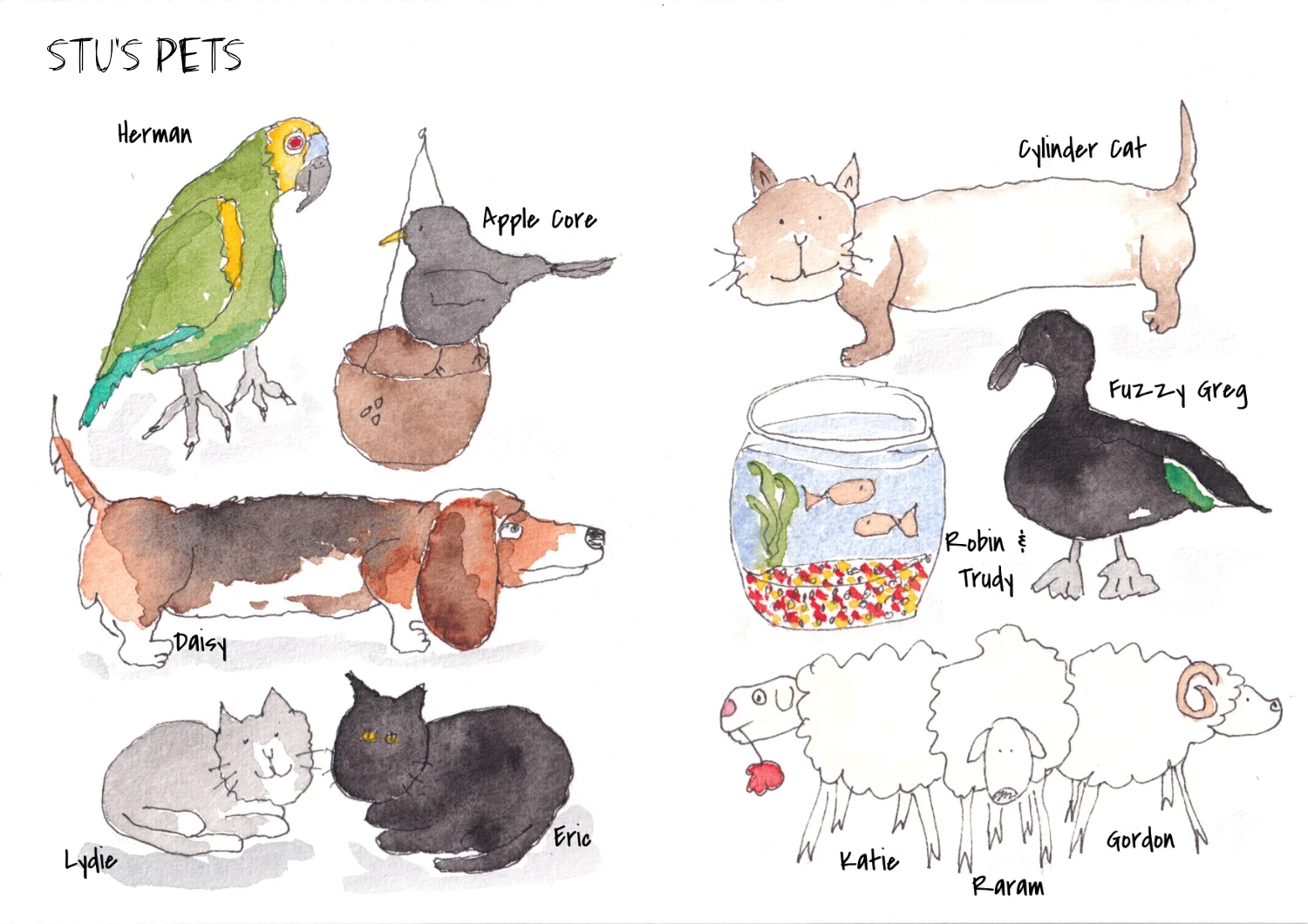 Pets1.webp