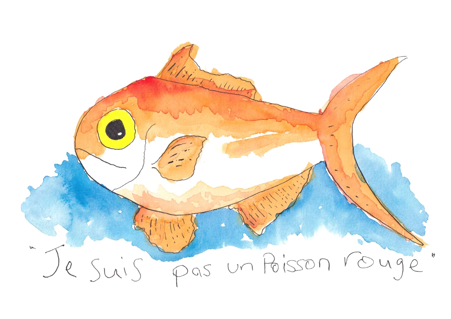 goldfish.webp
