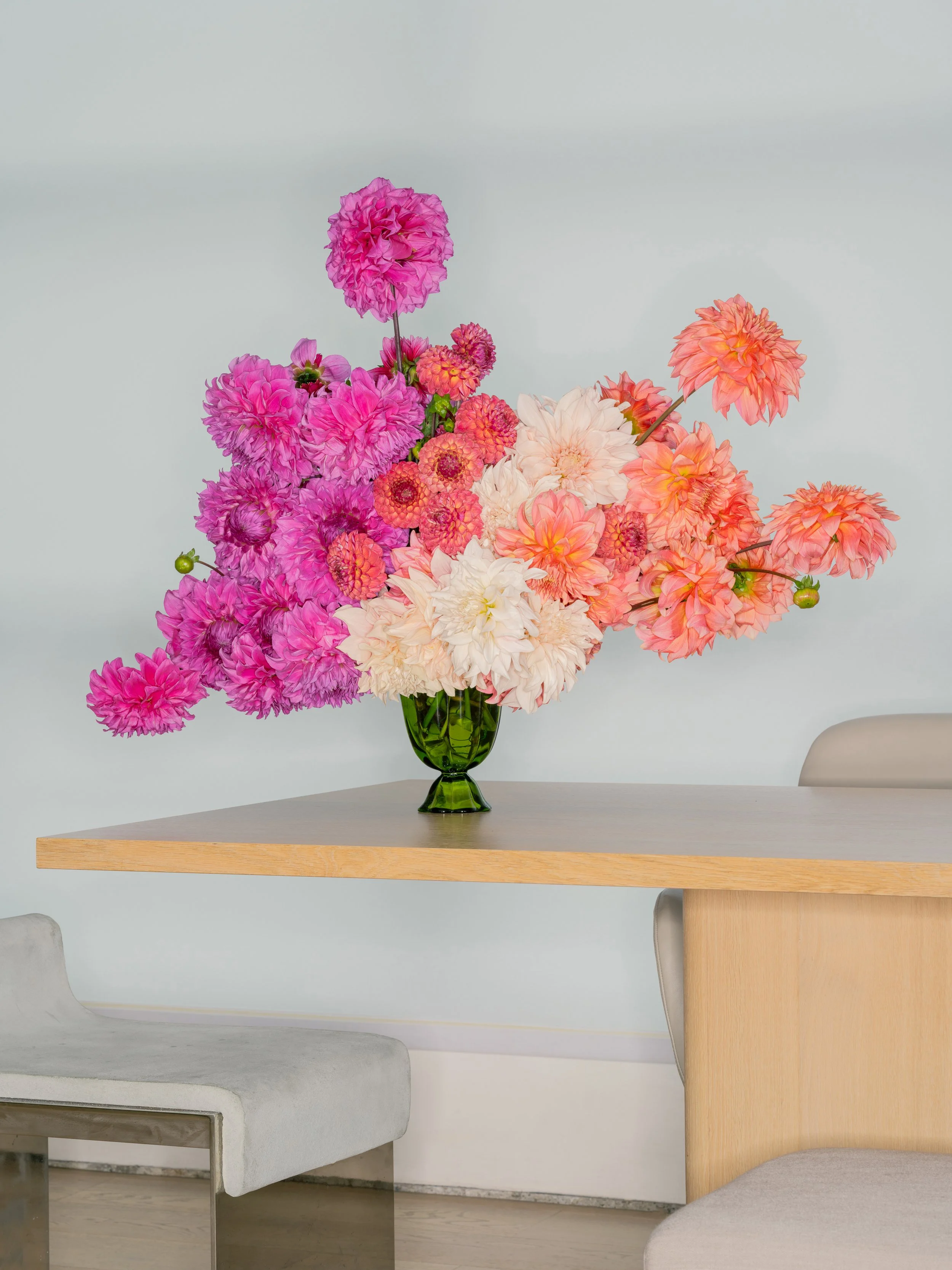 NAT-SF-DAHLIA_DSF5563.jpg