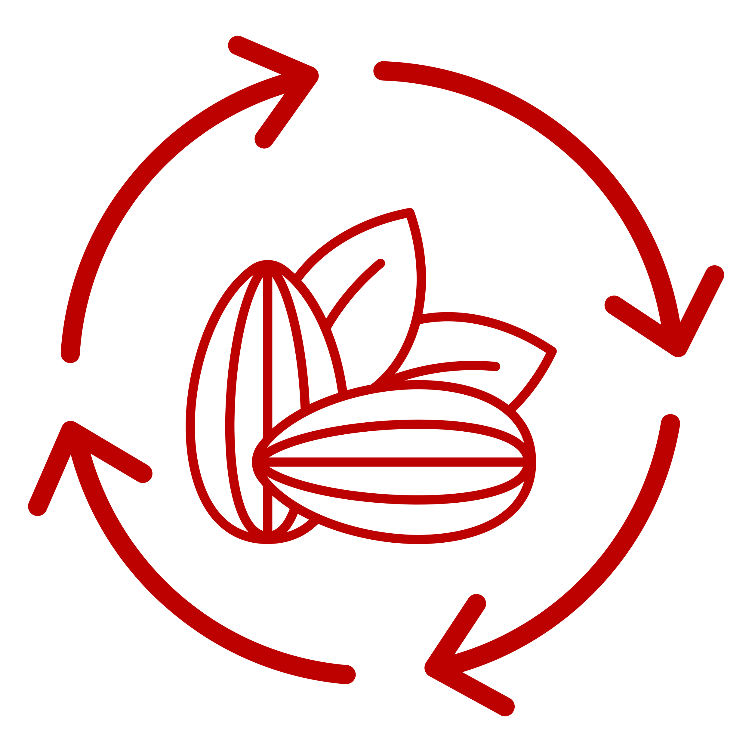 American Almond Precision Processing