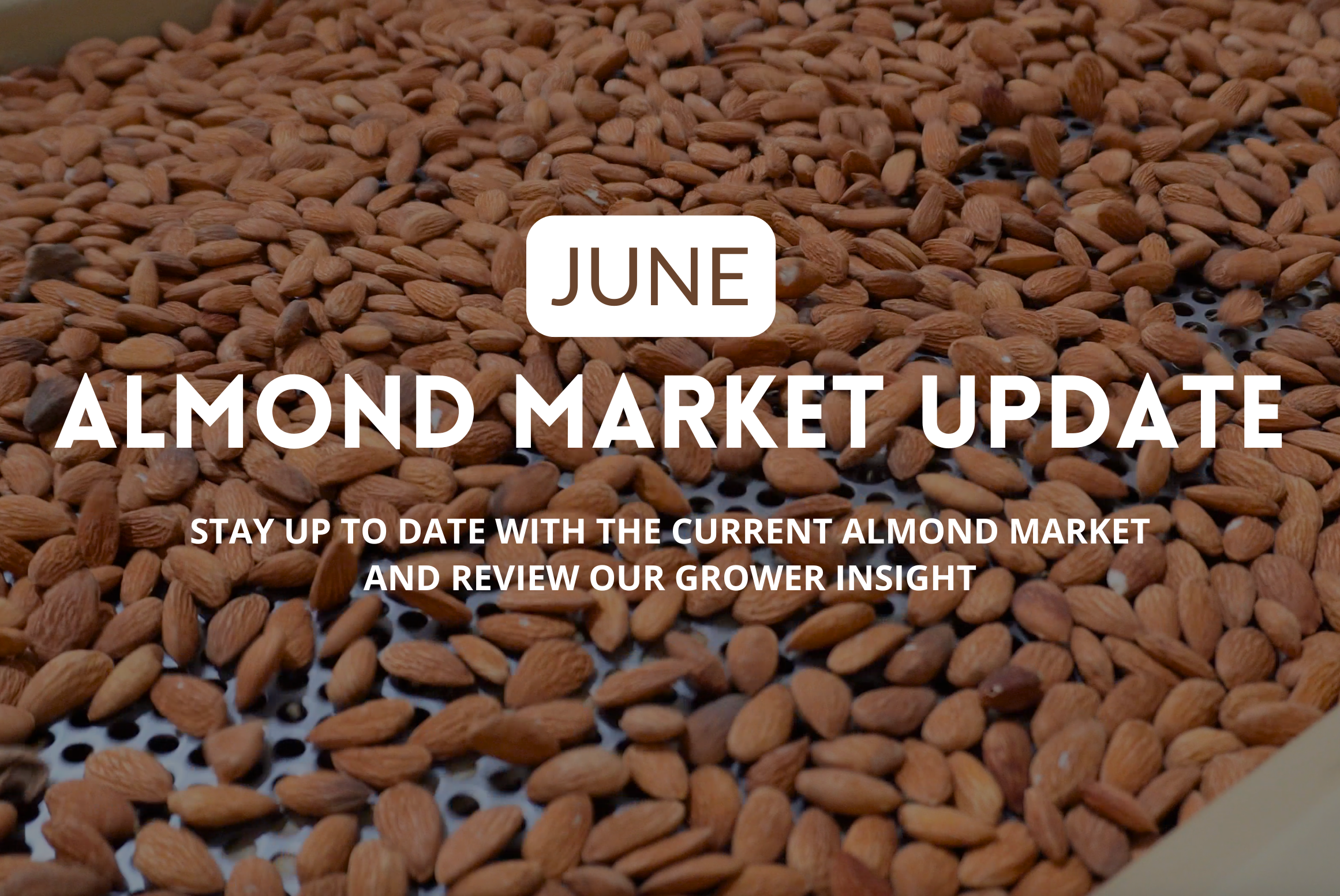 June (2026) Almond Market Update
