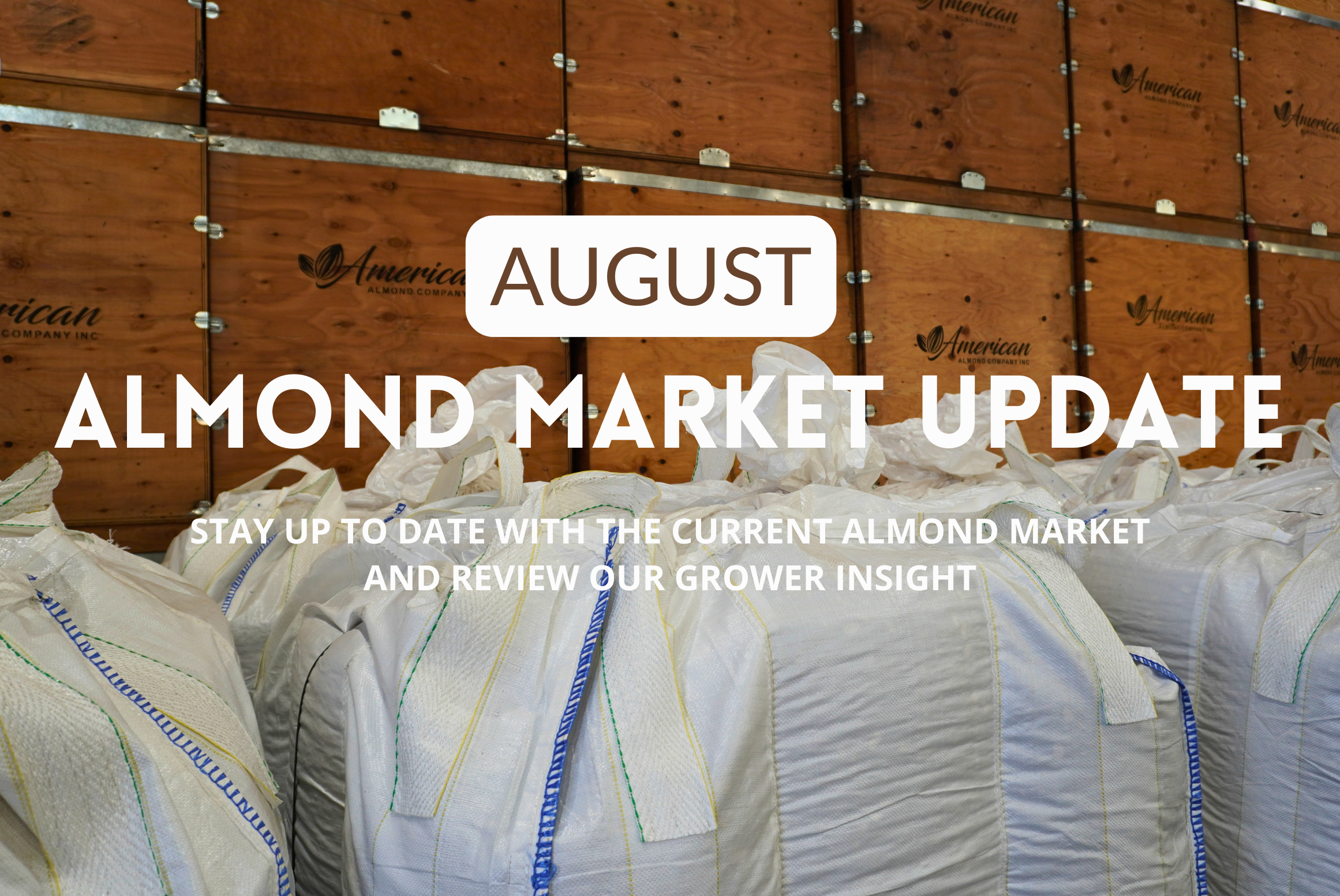 August (2026) Almond Market Update