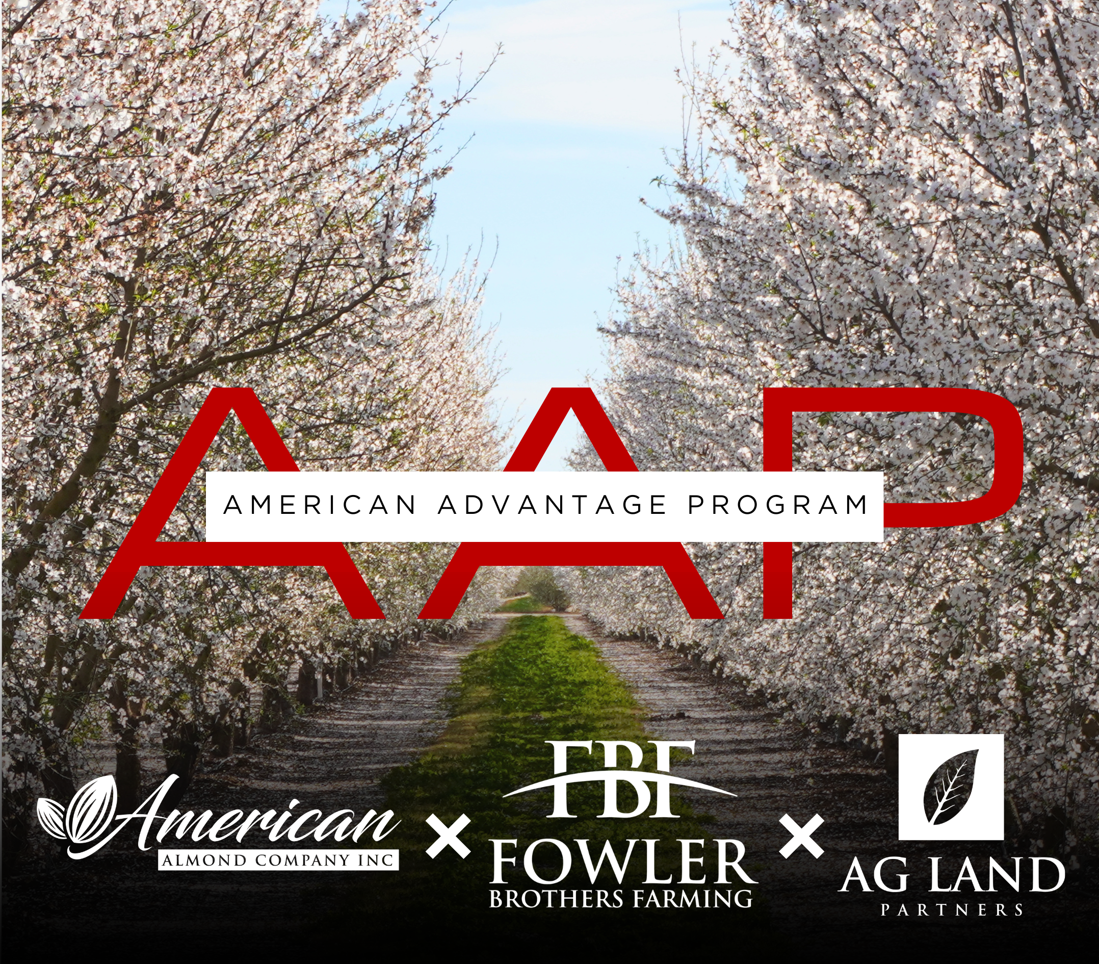 American Advantage Program - Almond Orchard Development Program - Development Discounts