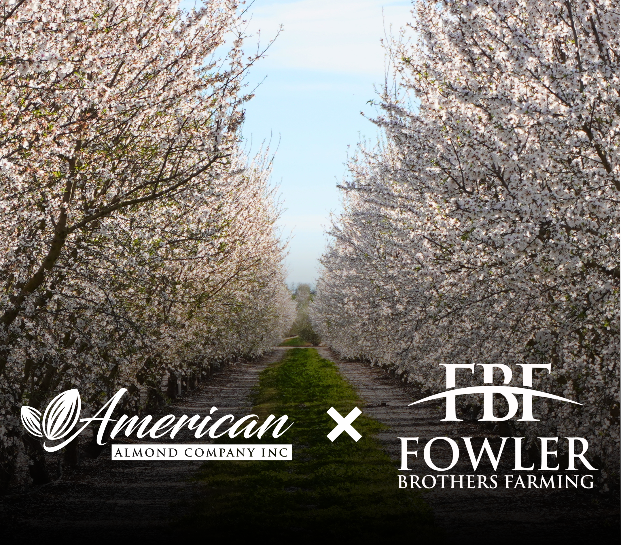 American Advantage Program American Almond Company Fowler Brothers Farming Save on Almond Orchard Land Development