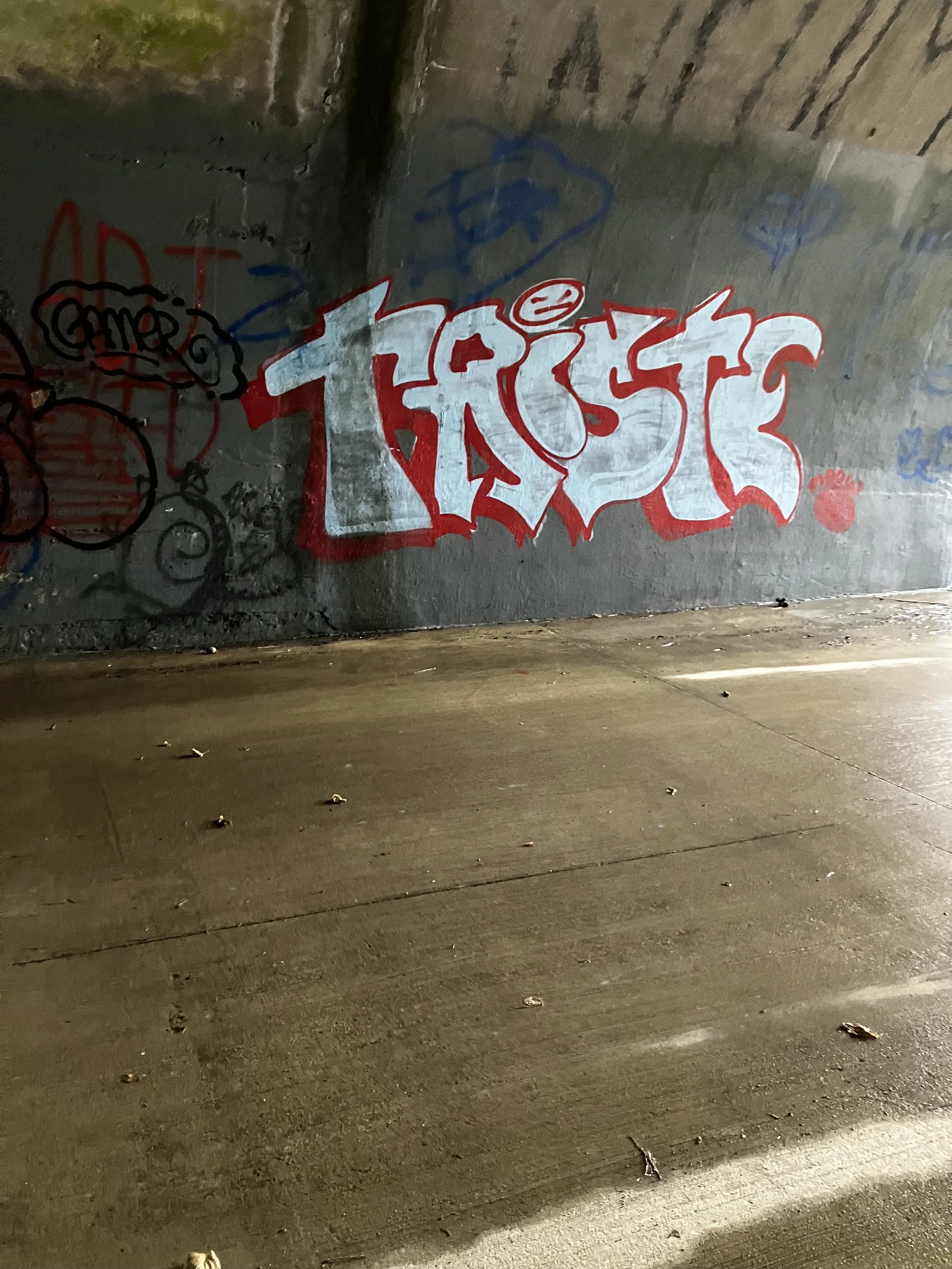 IMG_7422.jpeg