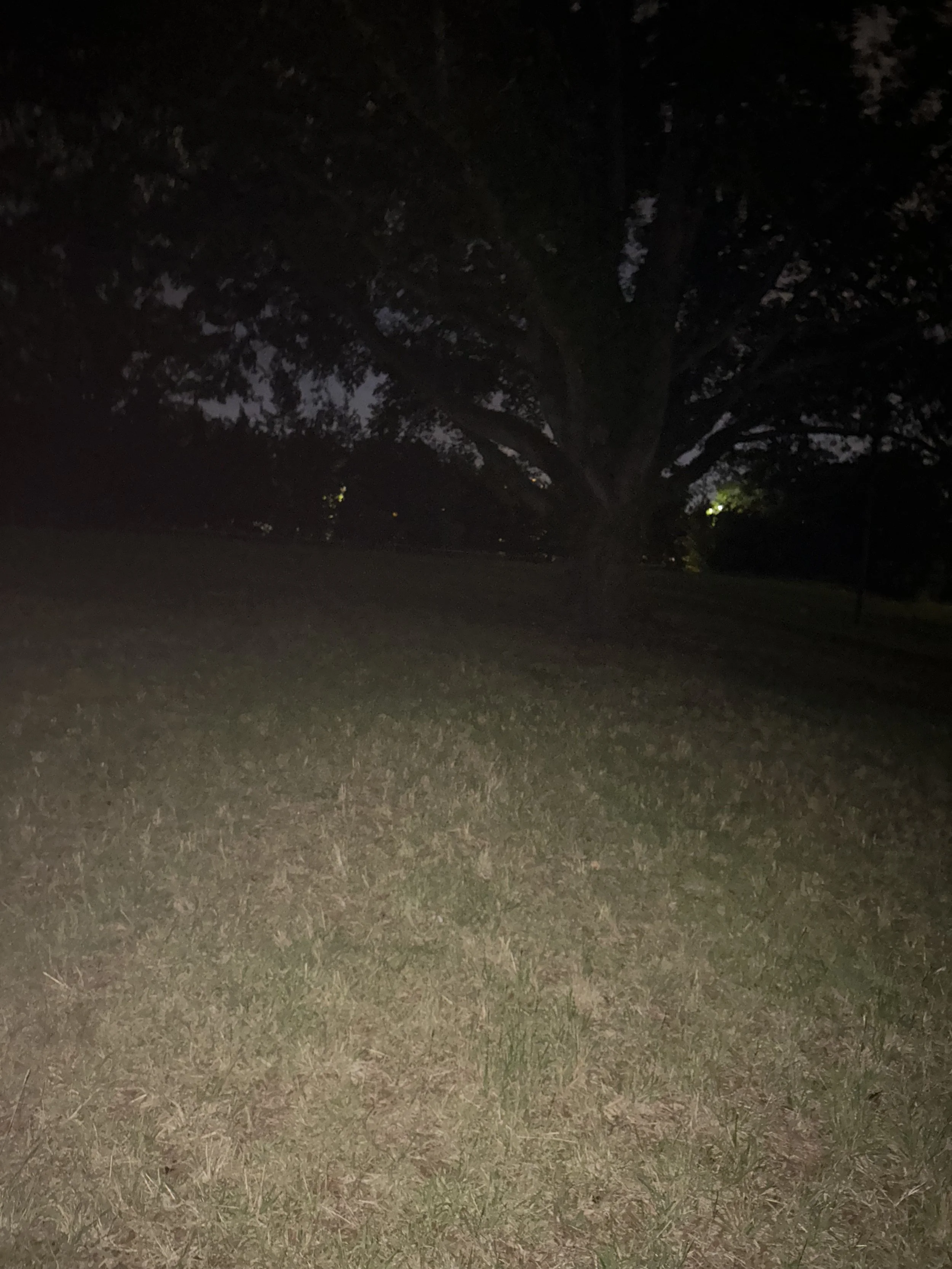 IMG_8823 2.jpeg