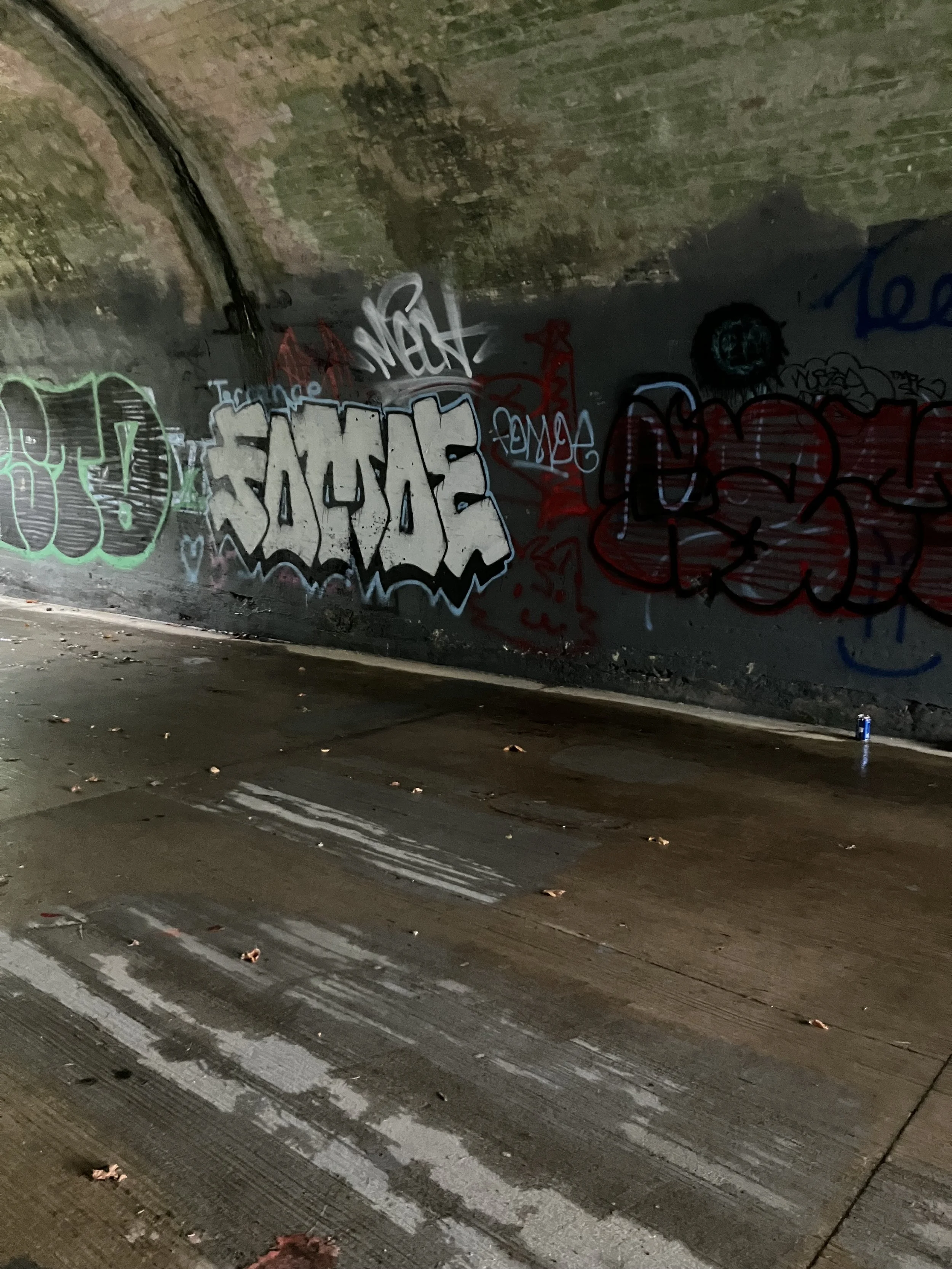 IMG_7421.jpeg