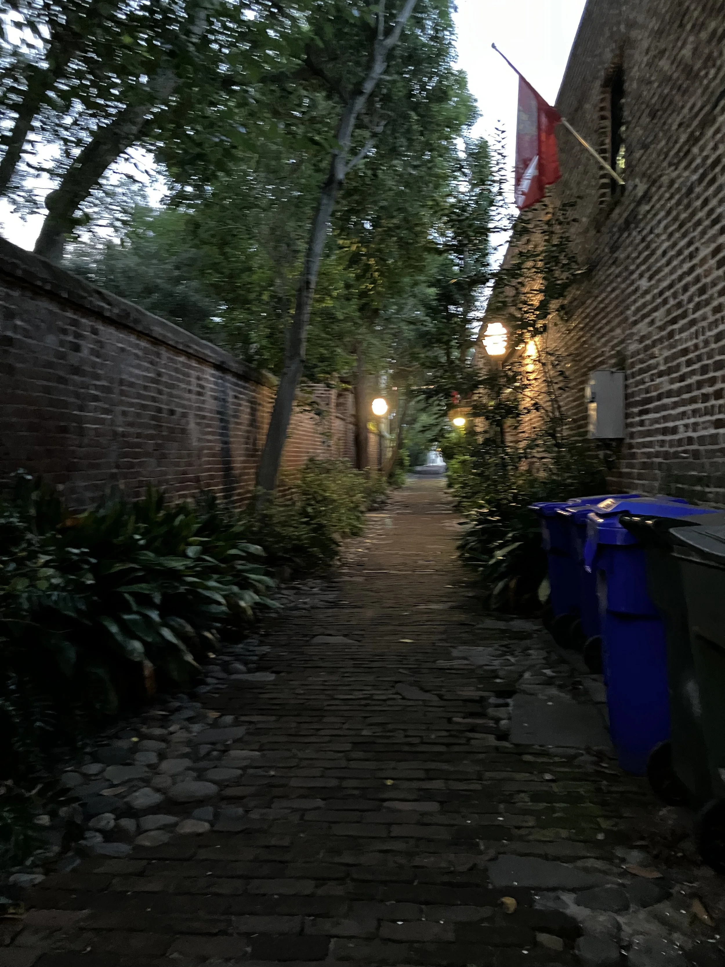 IMG_7643.jpeg