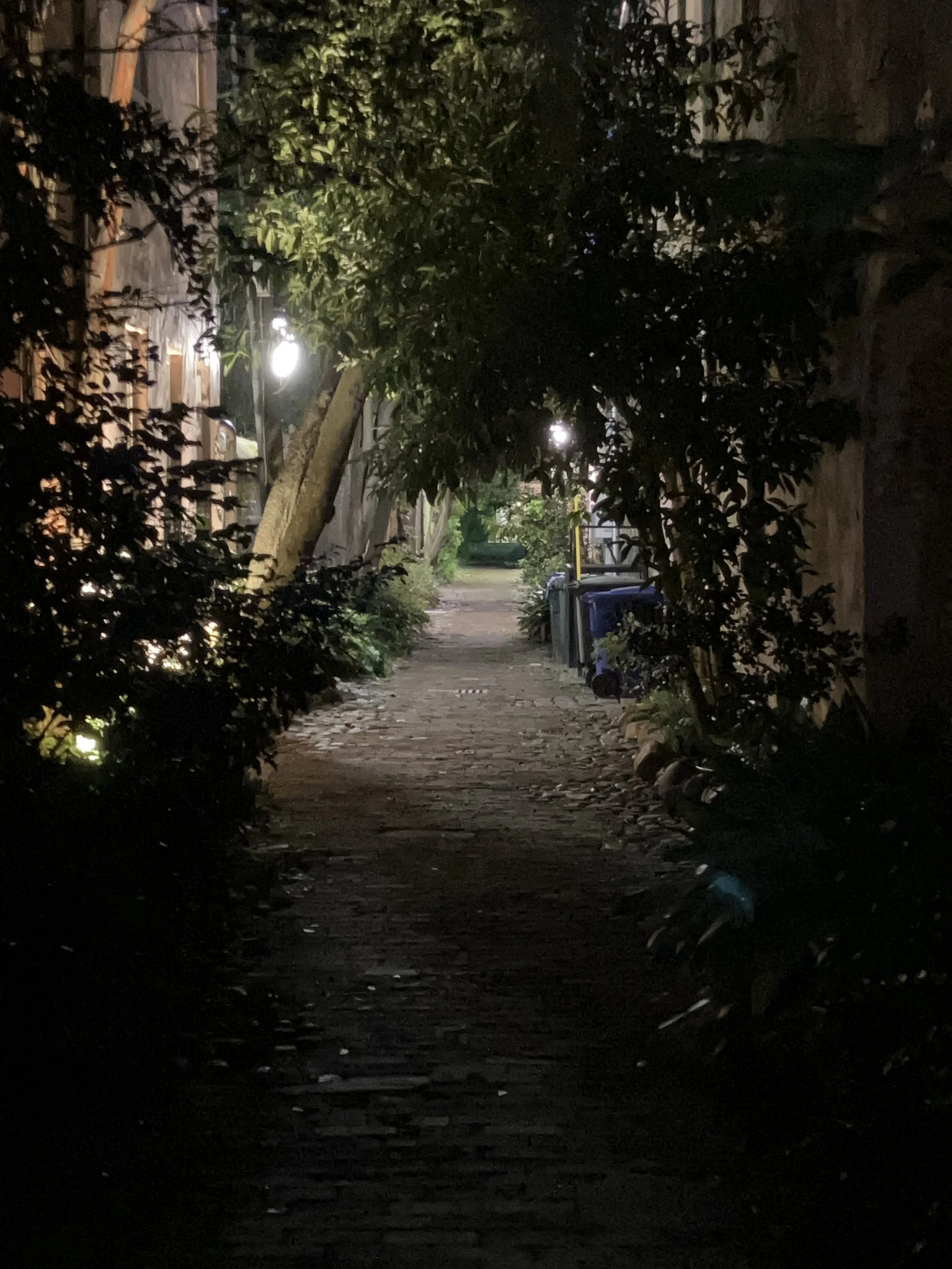 IMG_7670.jpeg