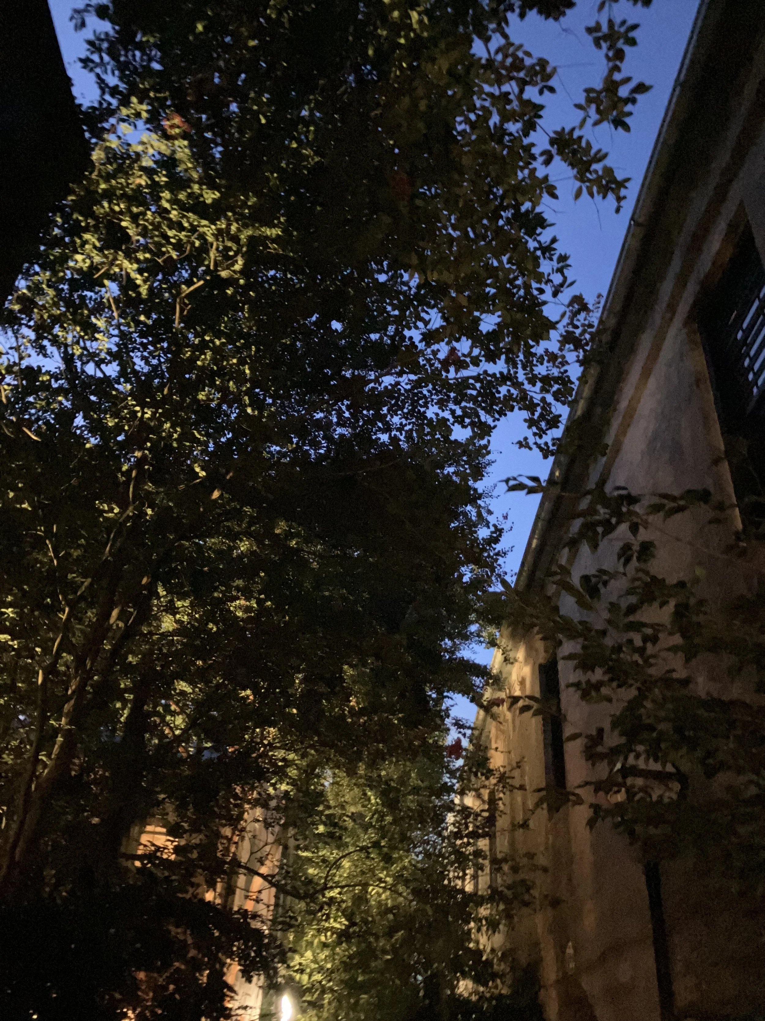 IMG_7672.jpeg