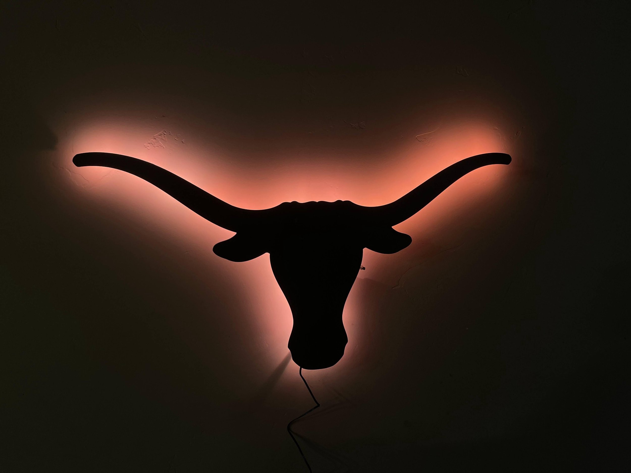Custom bull sign with red LED light backing