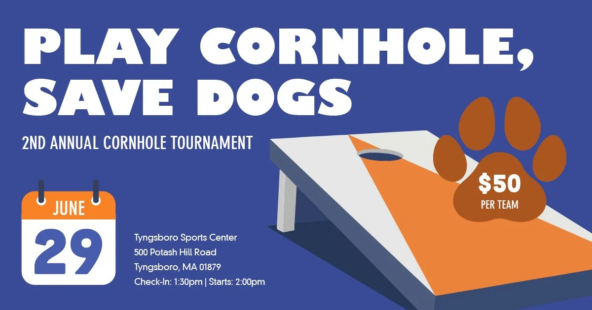 2024_Cornhole_Tournament.jpg