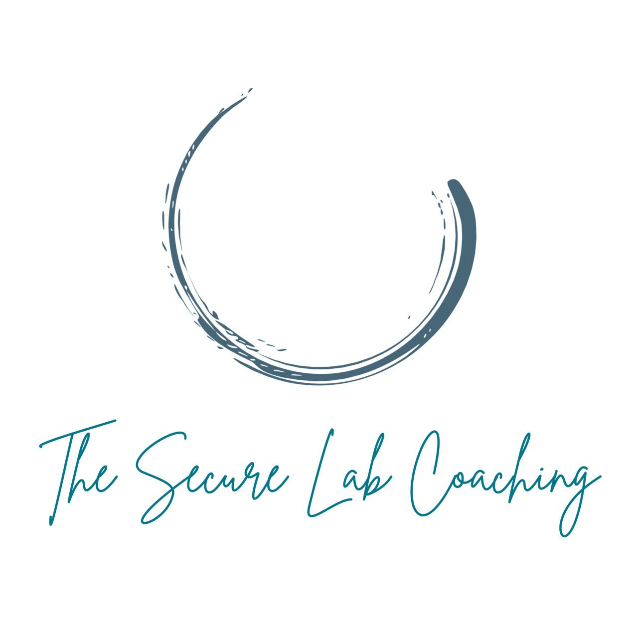 The Secure Lab Coaching