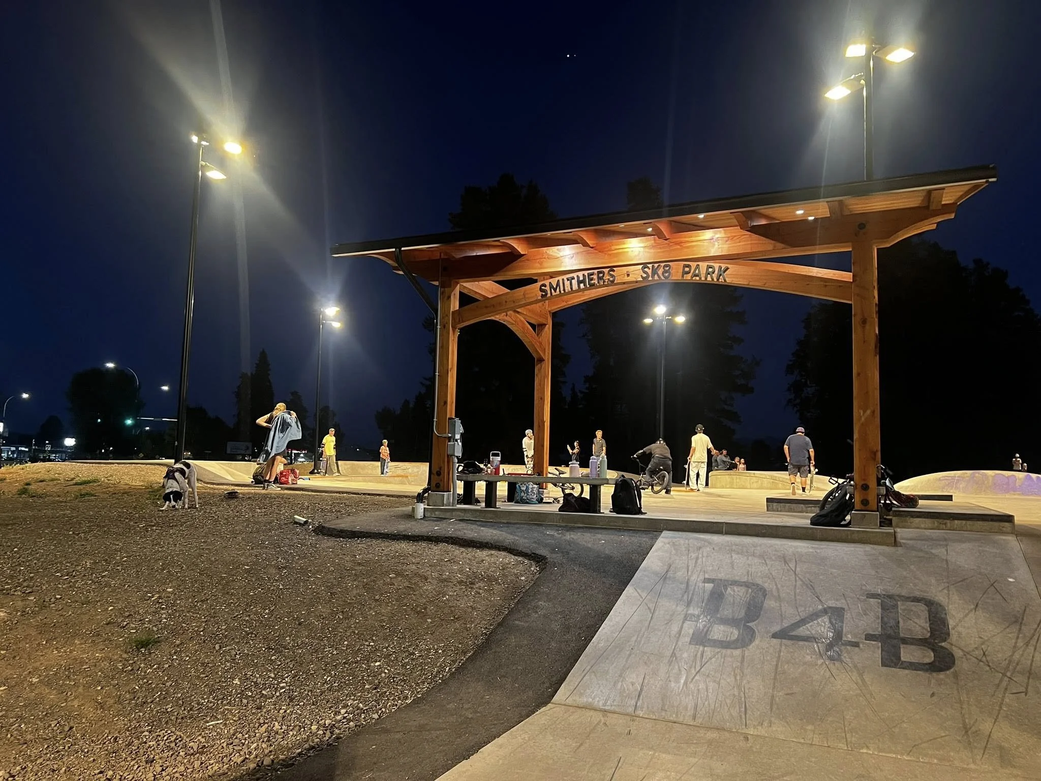 Finished park Night.jpg