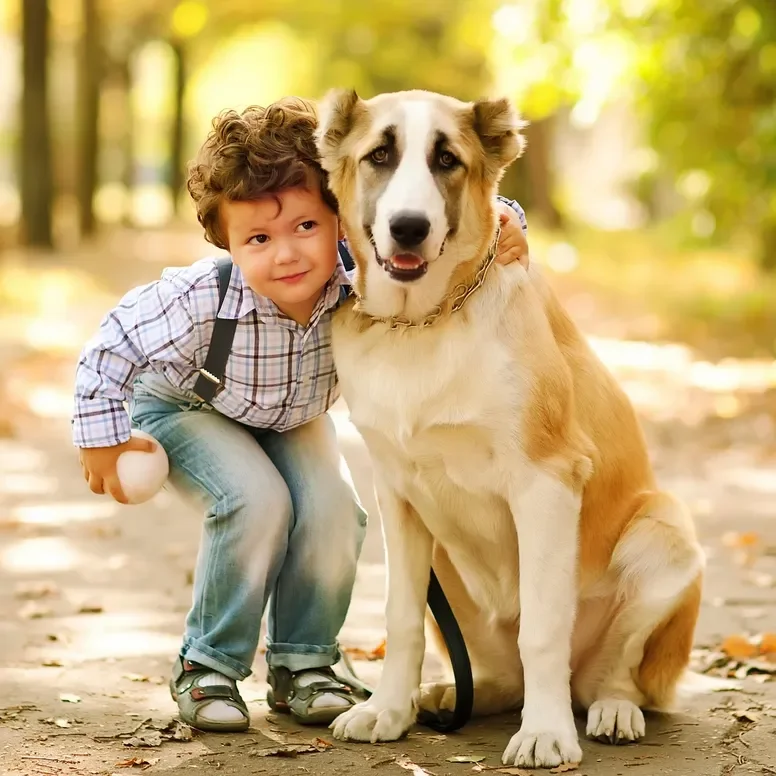 A young boy hugging a large, light brown and white dog in a forested area during daytime.