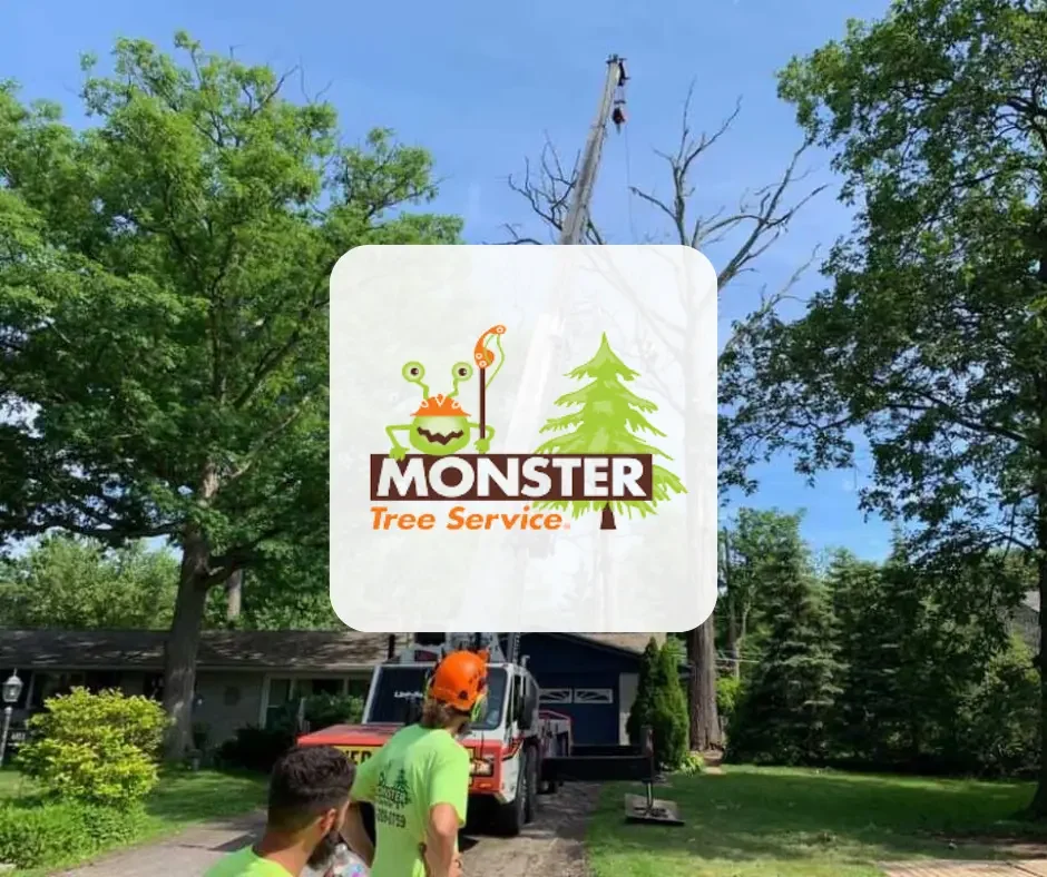 Monster Tree Service.webp