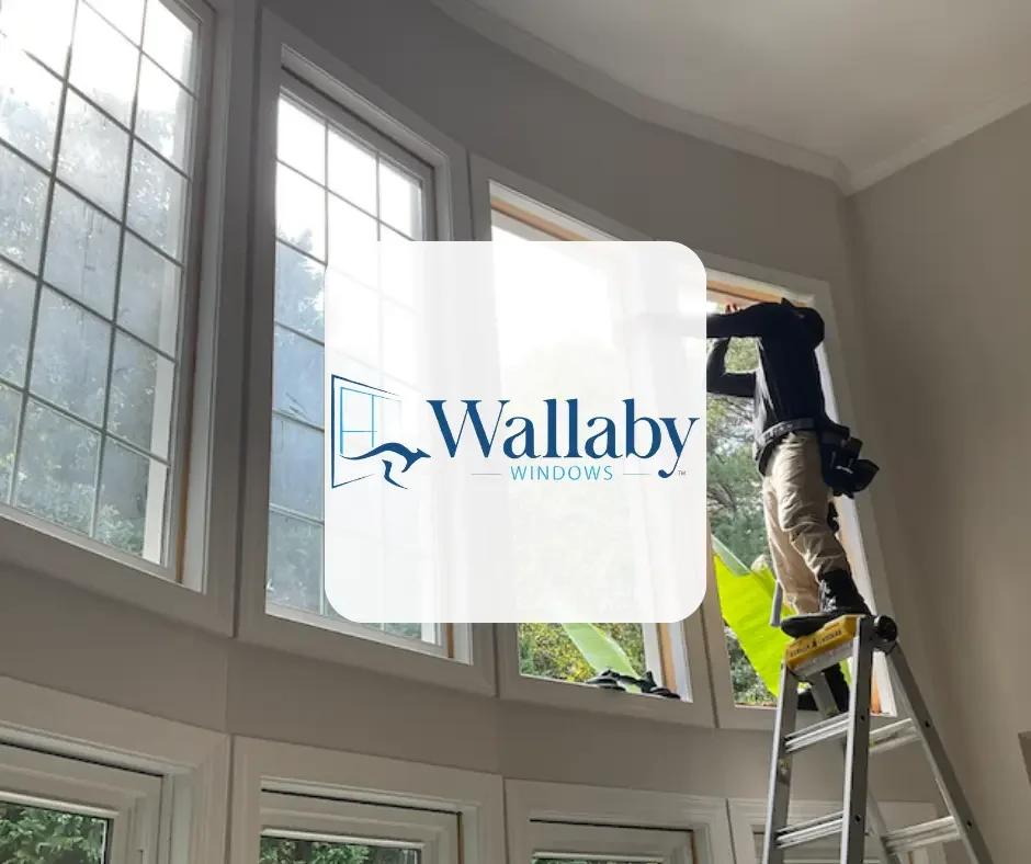 Wallaby Windows.webp