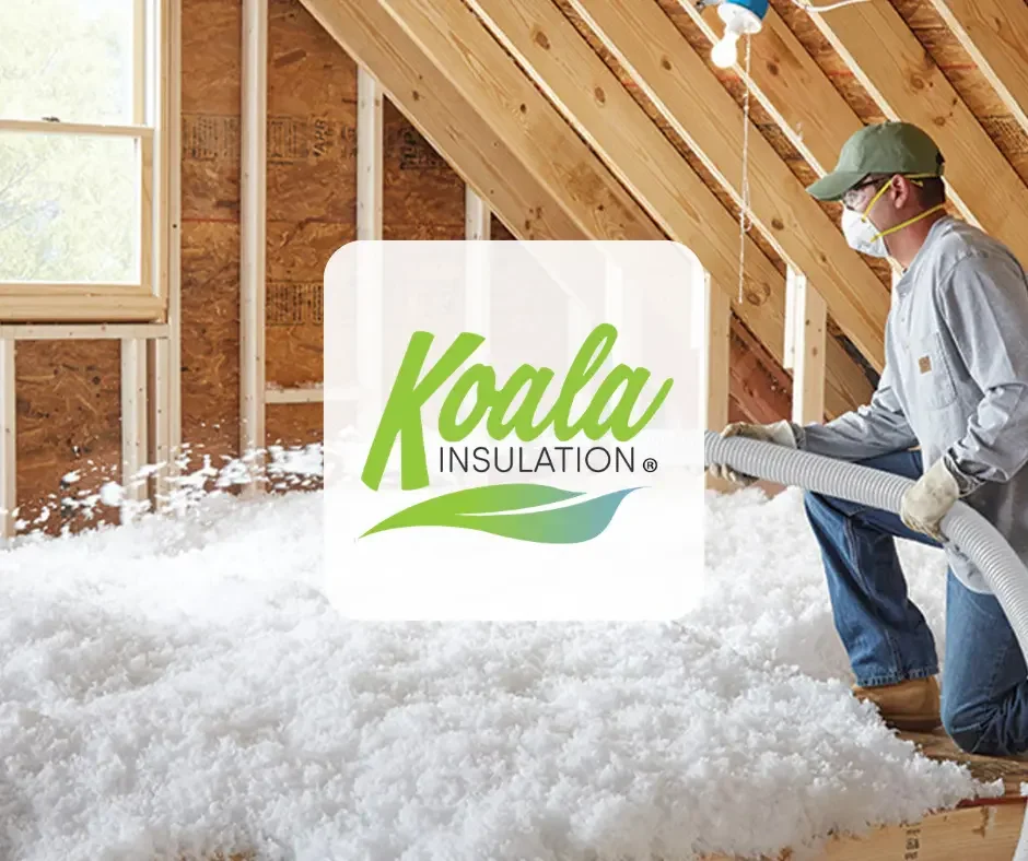 Koala Insulation.webp