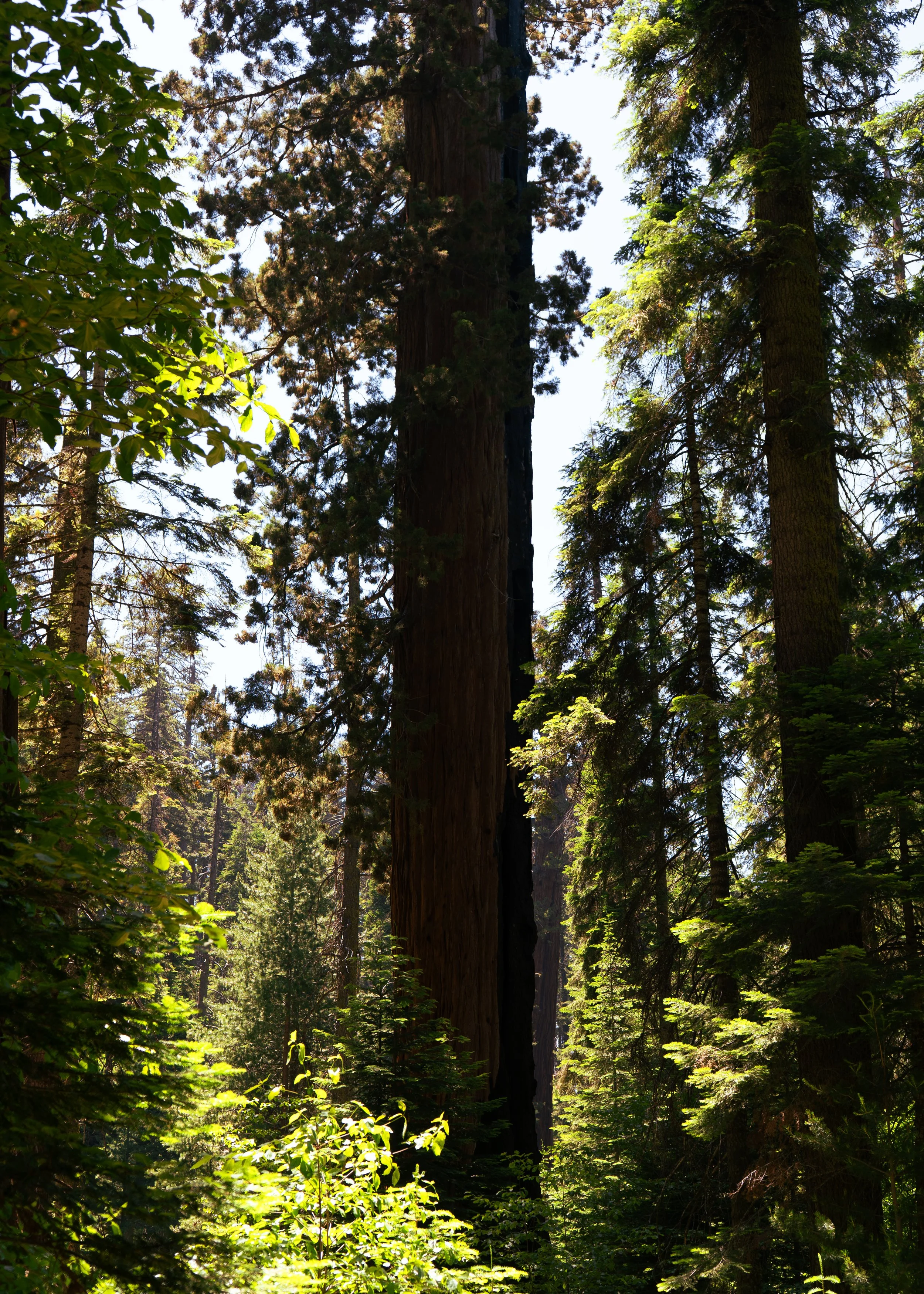 AAF0E18F-827F-4CEA-8086-41654298AB48.jpeg