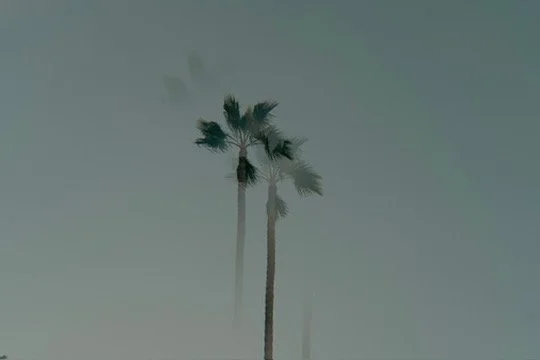 81DBA534-821A-4742-809C-9E3E7A20CDB4_4_5005_c.jpeg