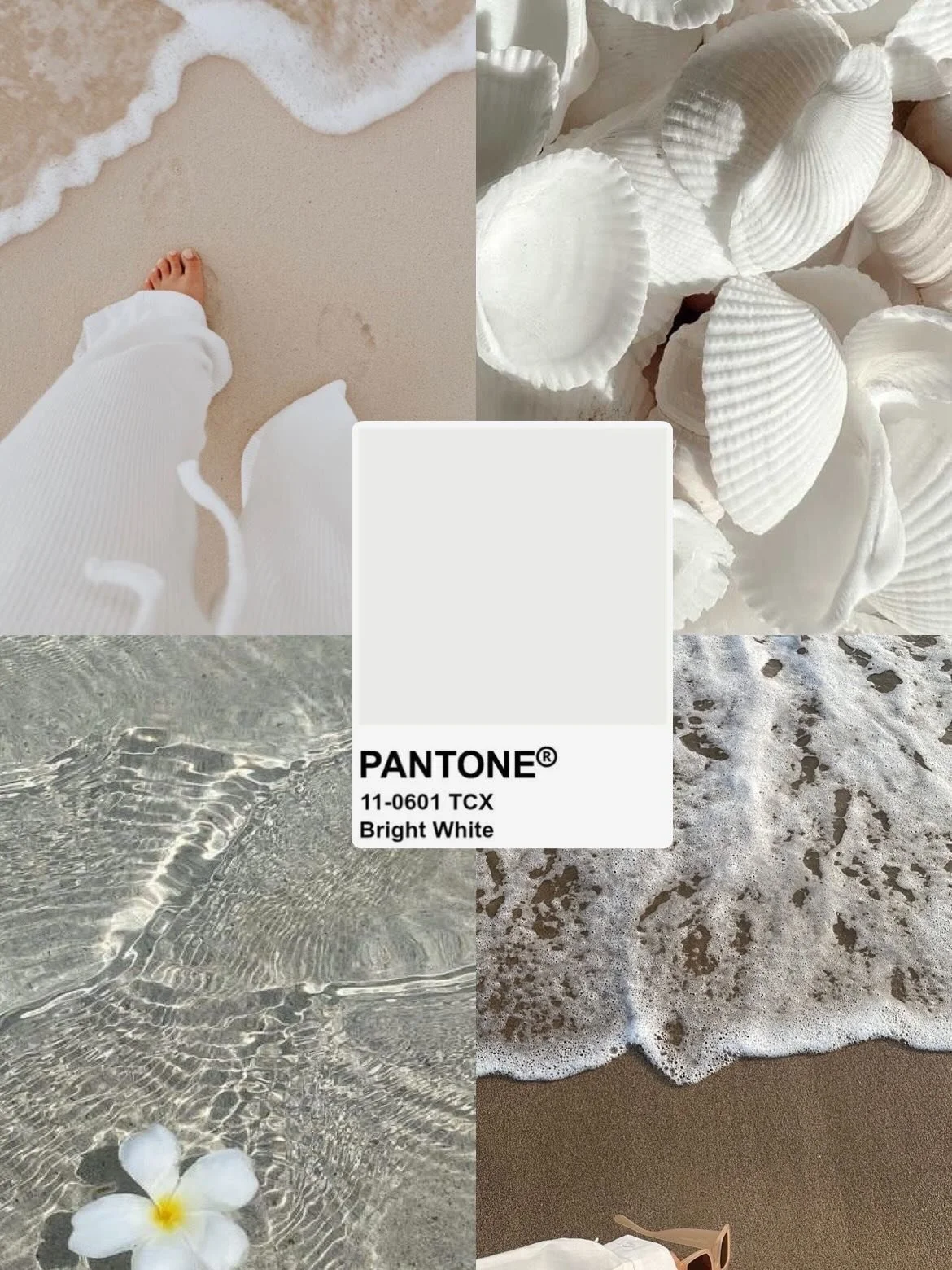 Color de la semana: Bright White🤍
&iquest;Buscando el tono perfecto? 🐚 Bright White es para t&iacute;. Elegante, cl&aacute;sico y va con literalmente todo. &iexcl;Pru&eacute;balo en tu pr&oacute;xima visita! ✨

#white #perfect #luxury #pedicure #ti