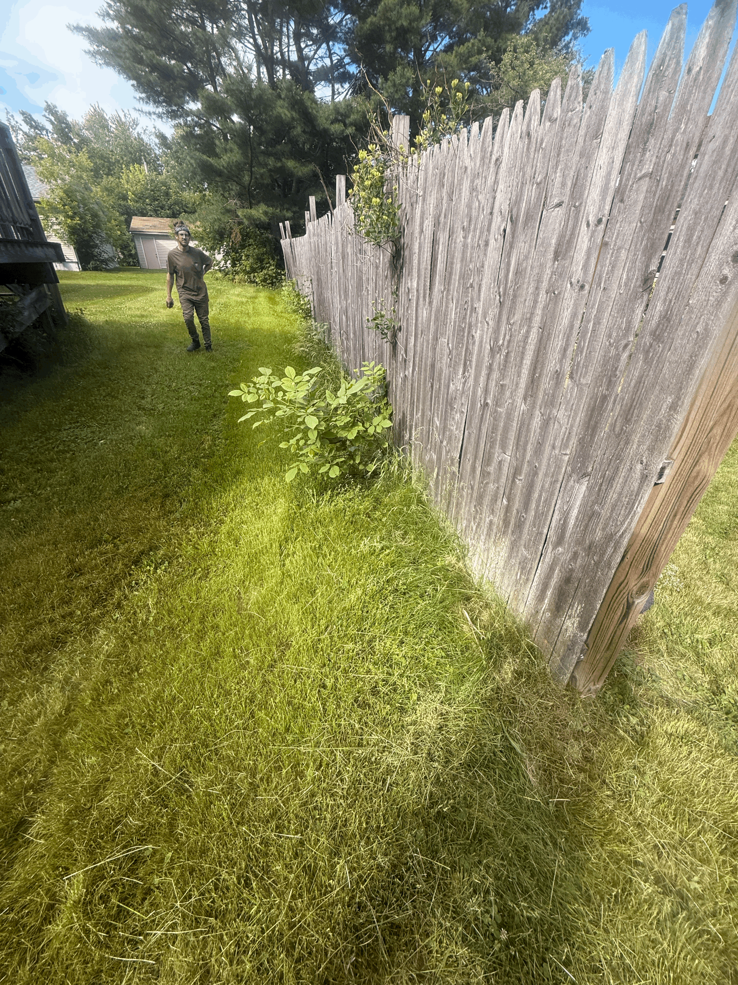 tempImageEvwJD8.gif