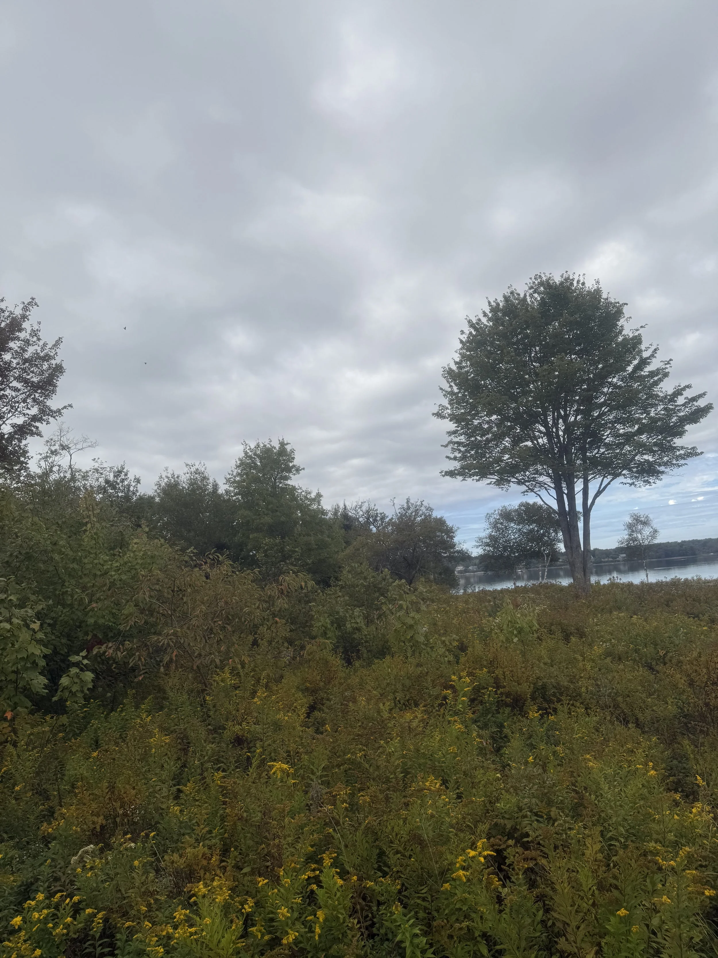 IMG_1626.jpeg