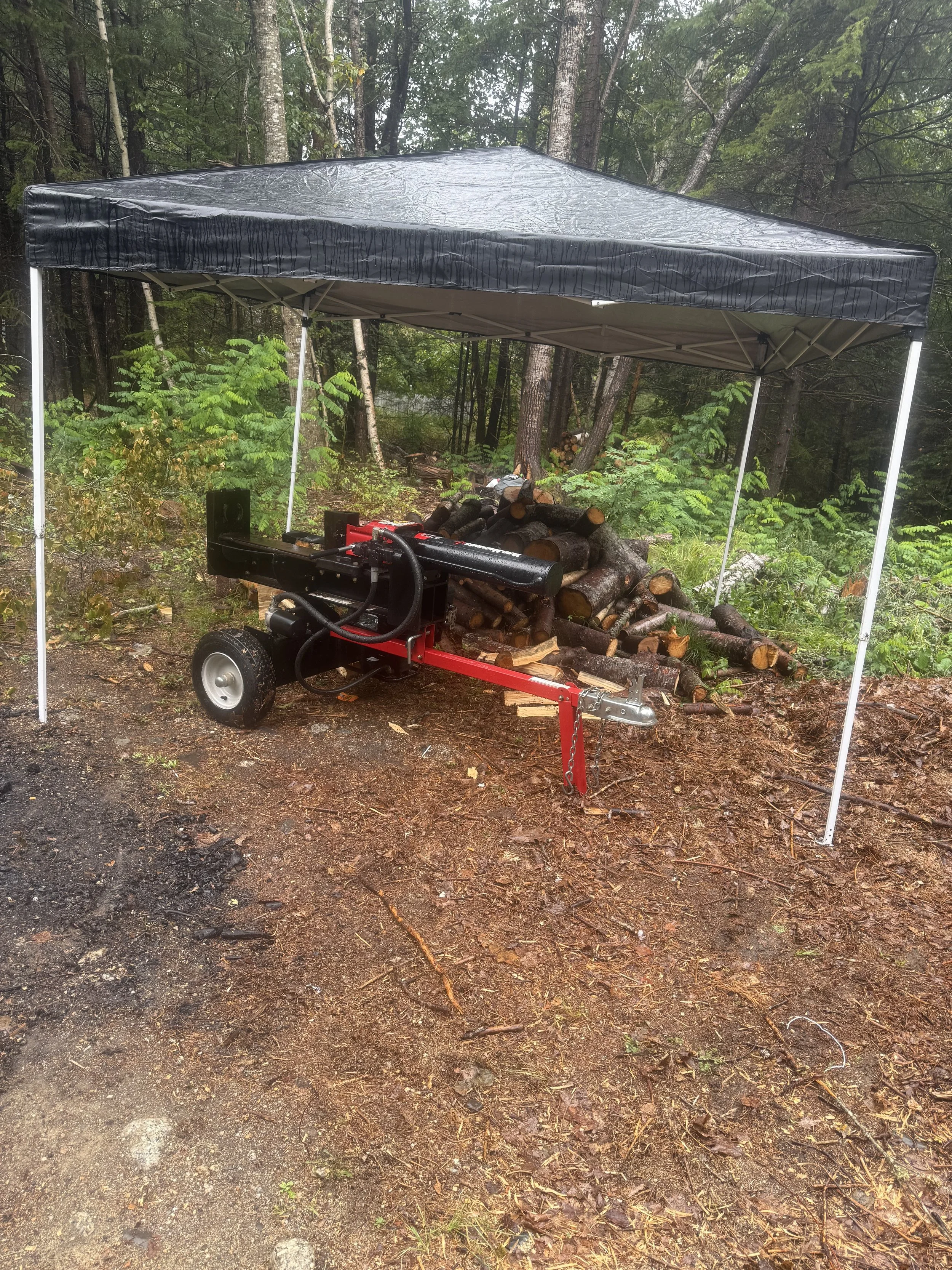 Portable wood sawmill on a trailer under a canopy, with a large pile of cut logs in a forest clearing.
