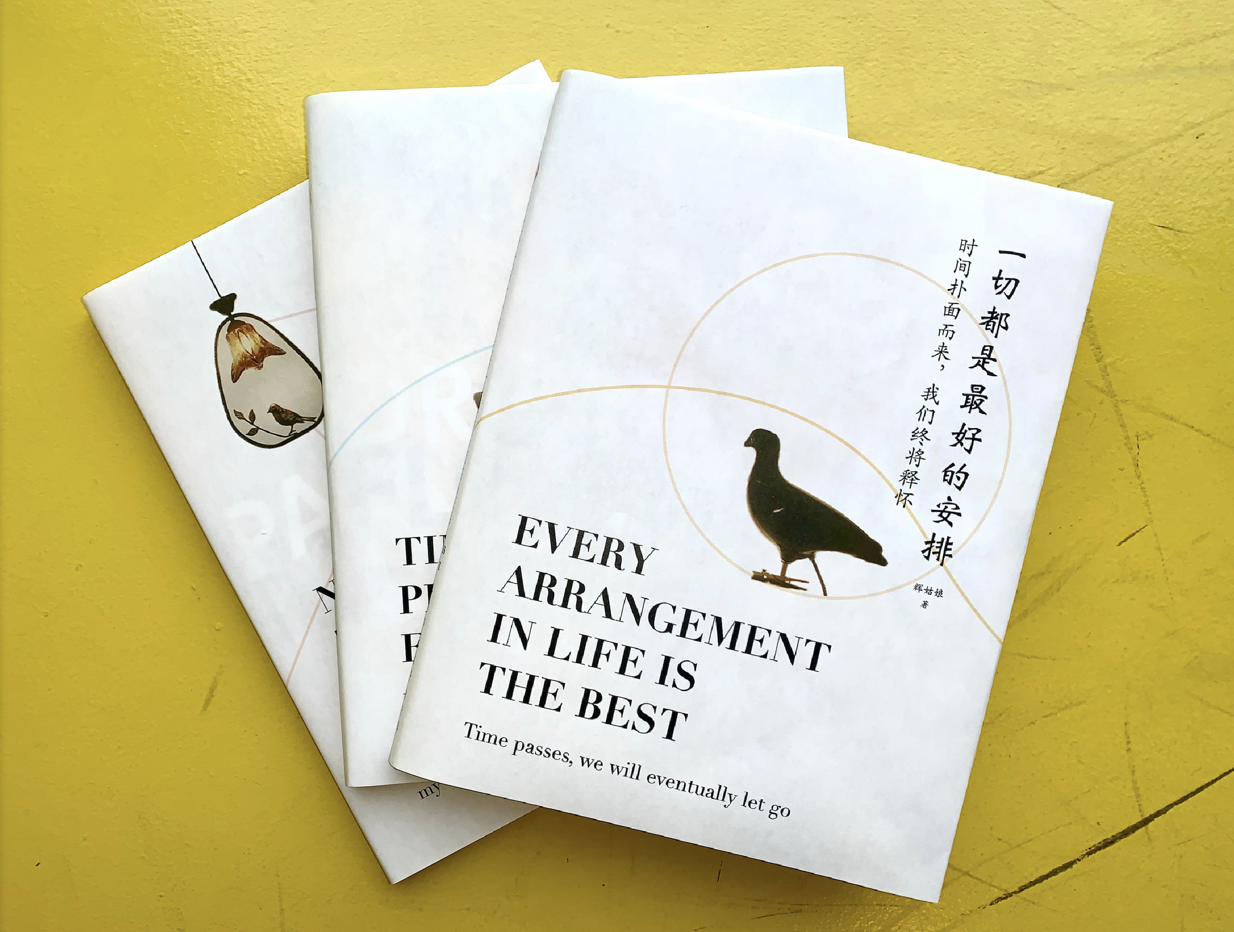 TIME WILL PROVE EVERYTHING    [series packaging & redesign]