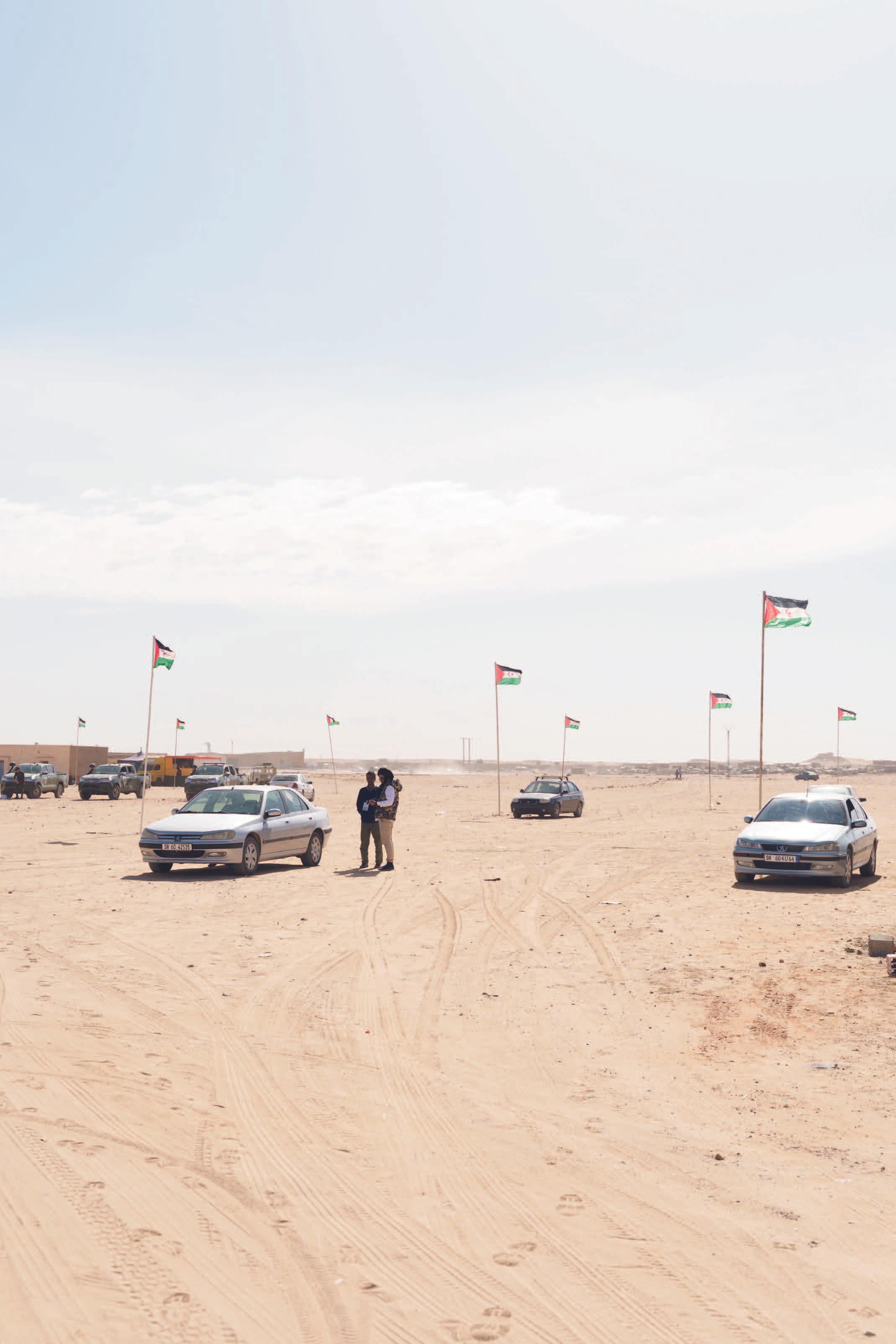 260322_sahara_mf8.jpeg