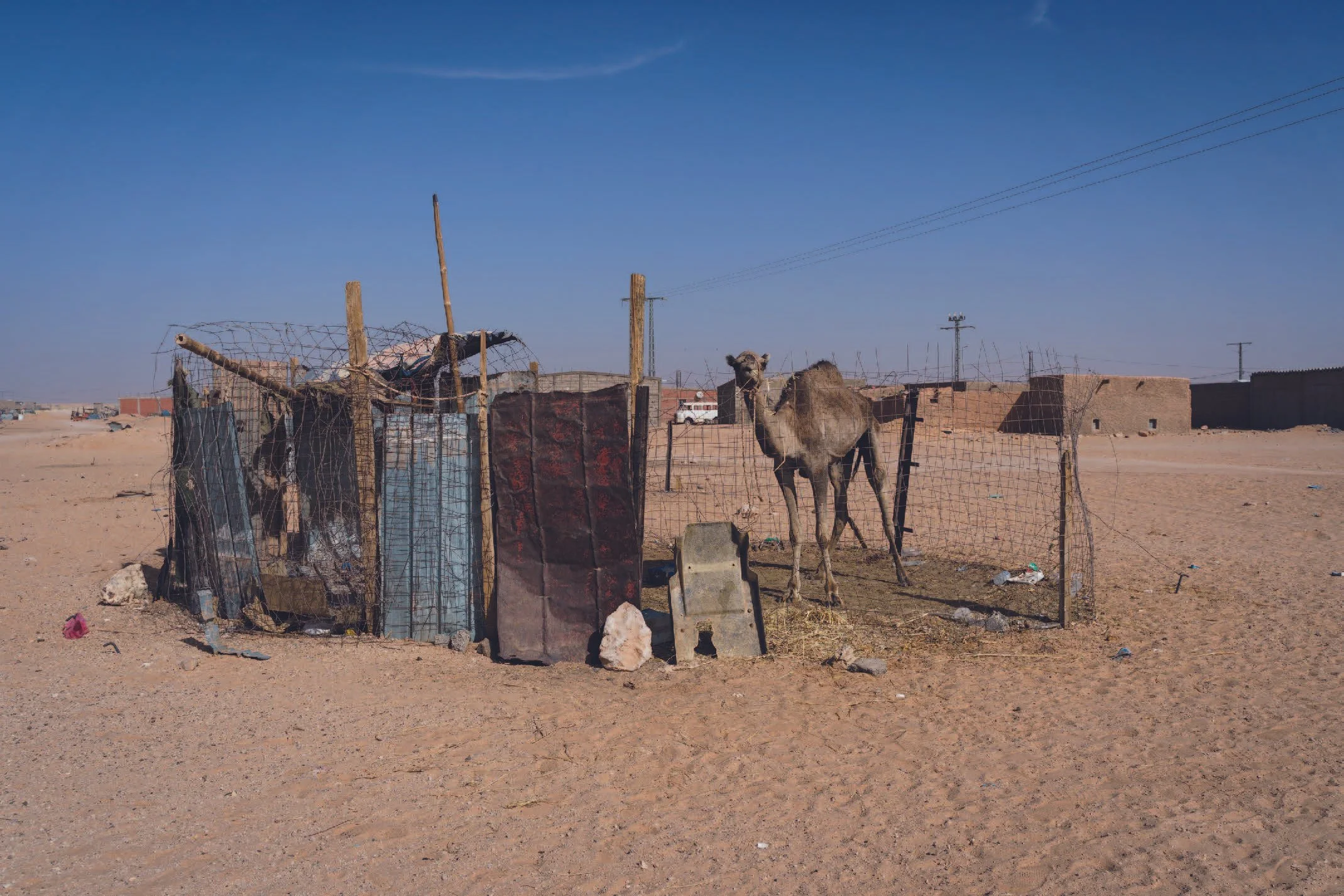 260322_sahara_mf5.jpeg