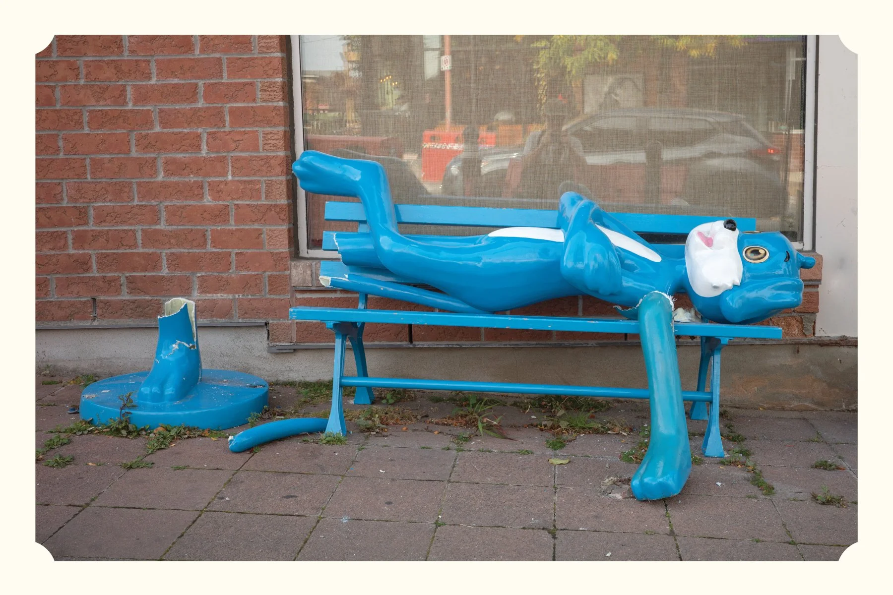 Blue Dog 01.jpg