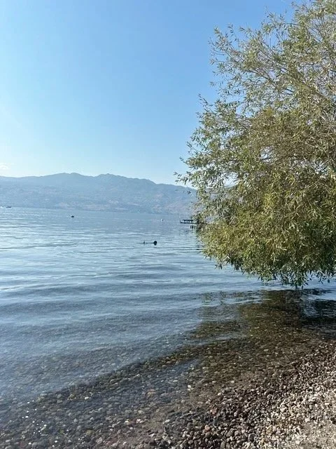 A peaceful lakeside scene with a partly cloudy sky, calm water, a small dock in the distance, and a tree on the right side near the rocky shoreline.