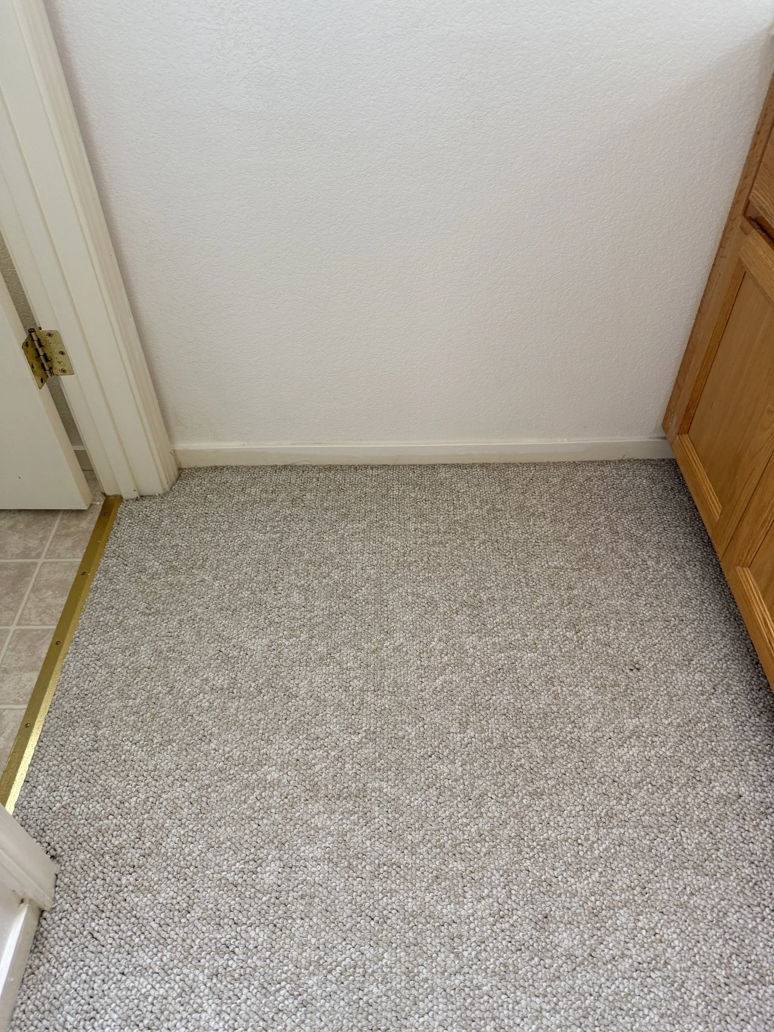 Corner of a room with a beige carpet, white wall, wooden cabinet, and a partially open door with brass hinges.