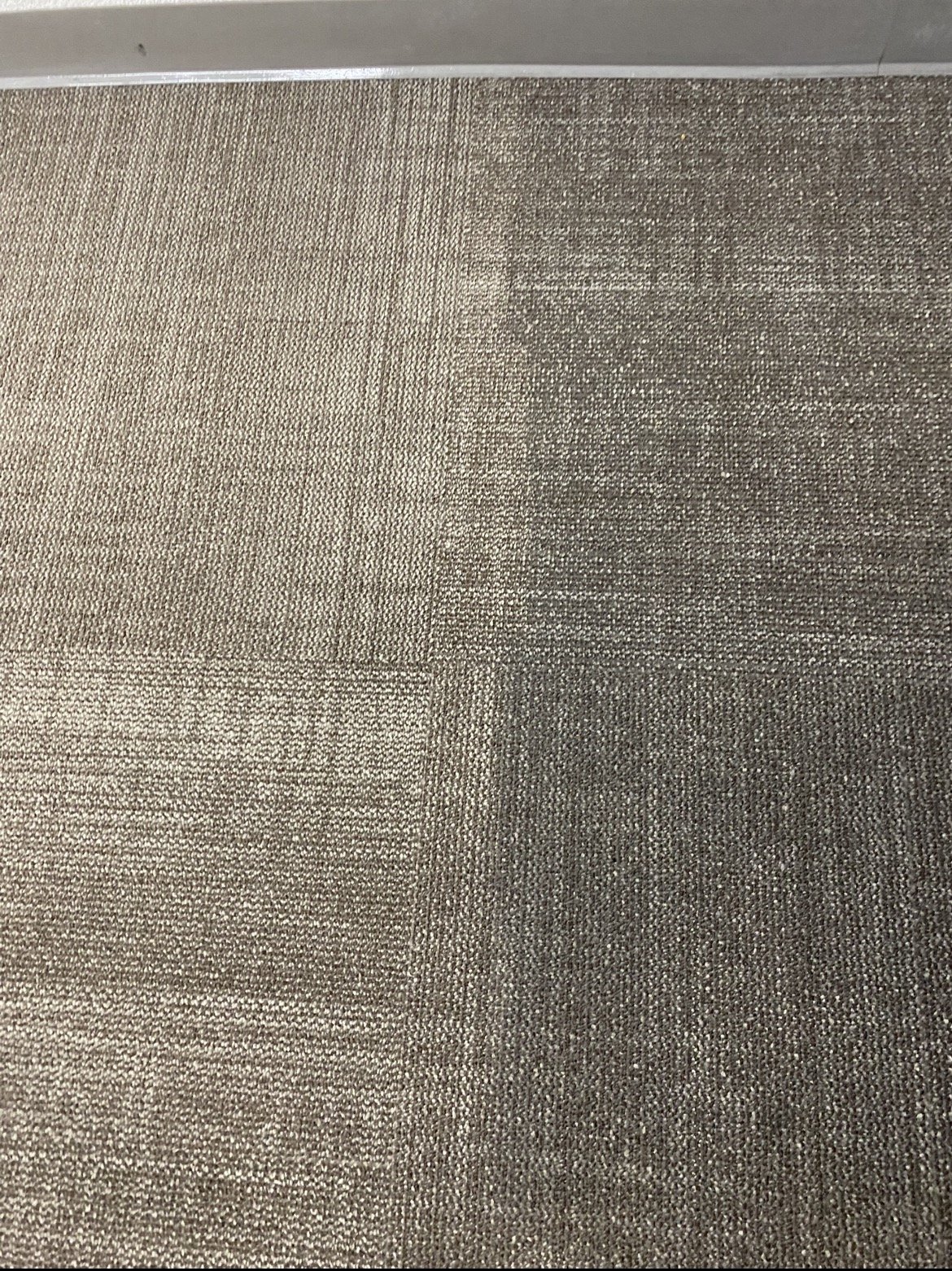 Close-up of a patterned, brown, textured carpeted floor with a transition to a lighter-colored floor, adjacent to a gray wall.
