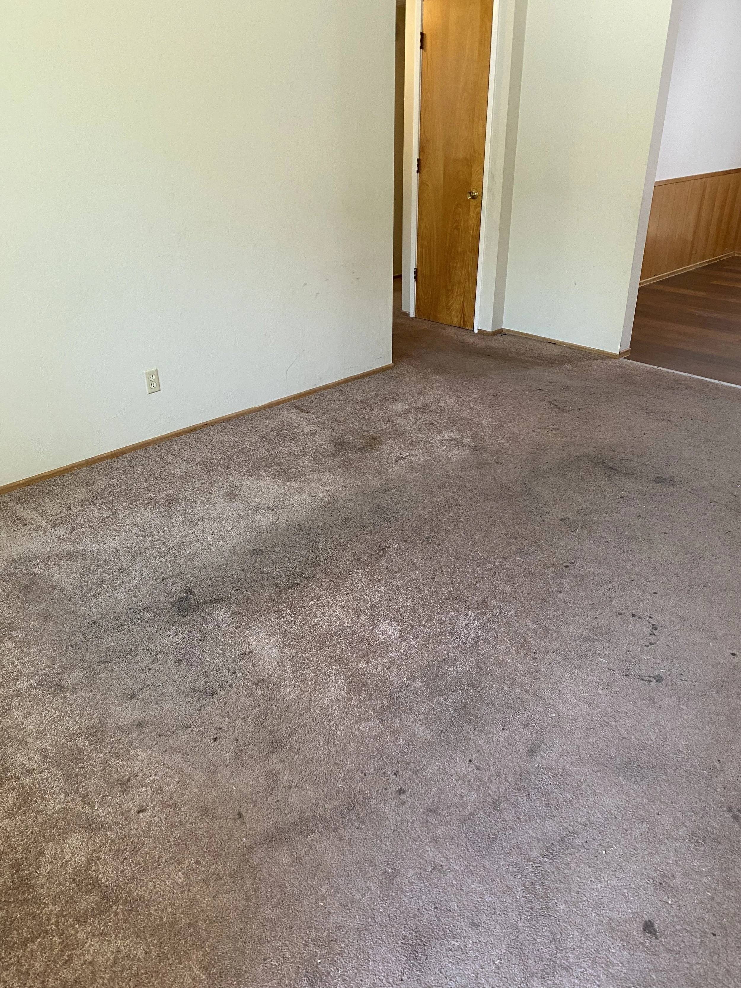 Empty room with stained brown carpet, beige walls, and a wooden door partially open, revealing another room with wood flooring.