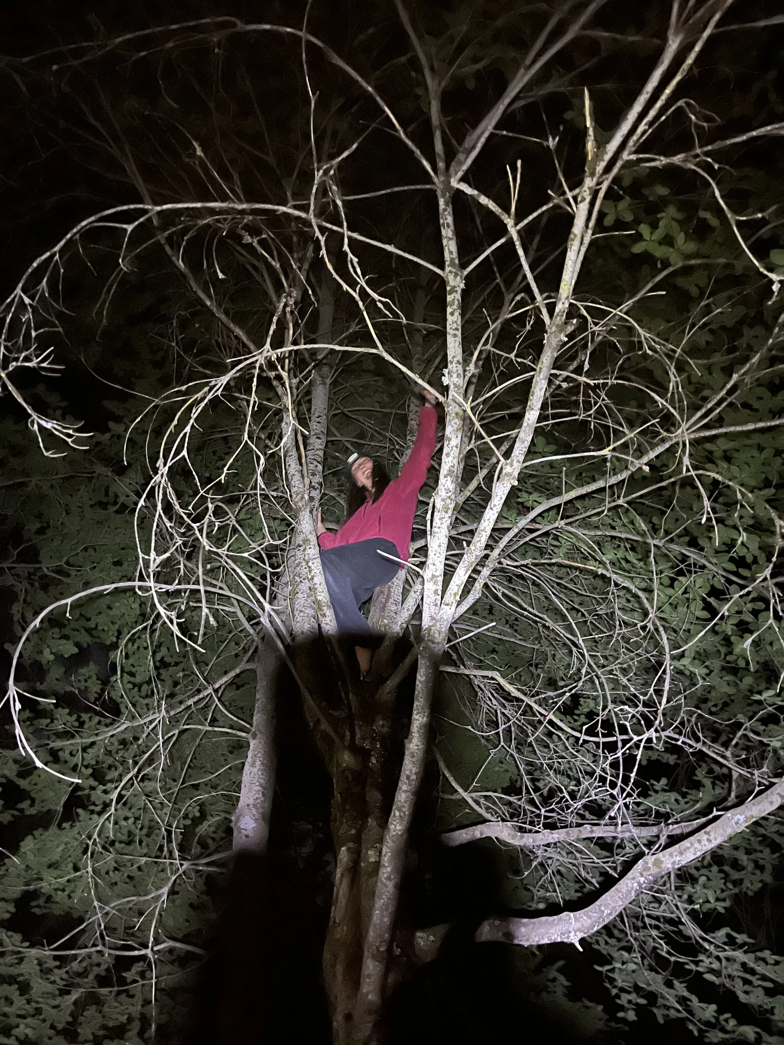 She loves to climb trees 