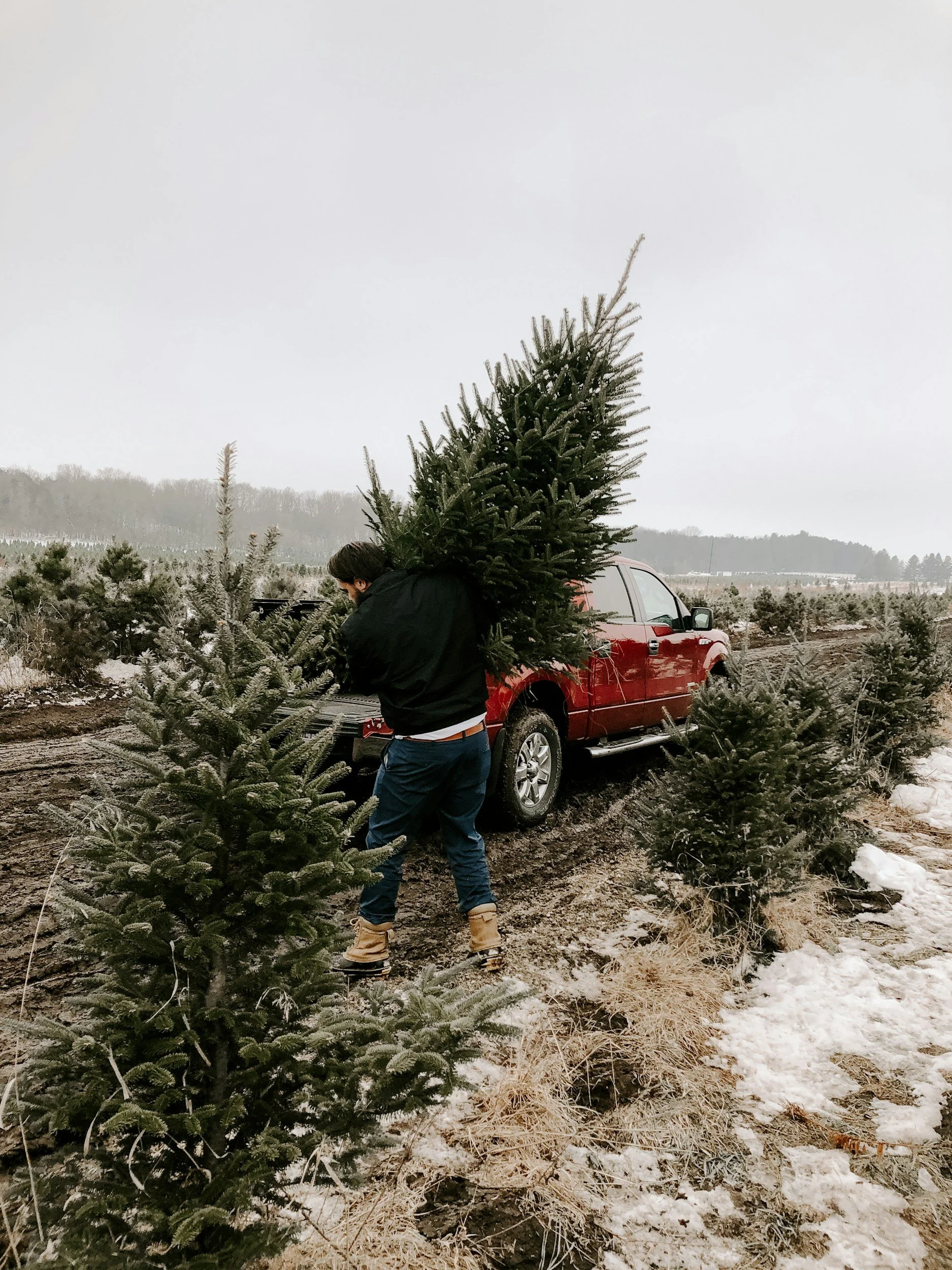 Tree Sales