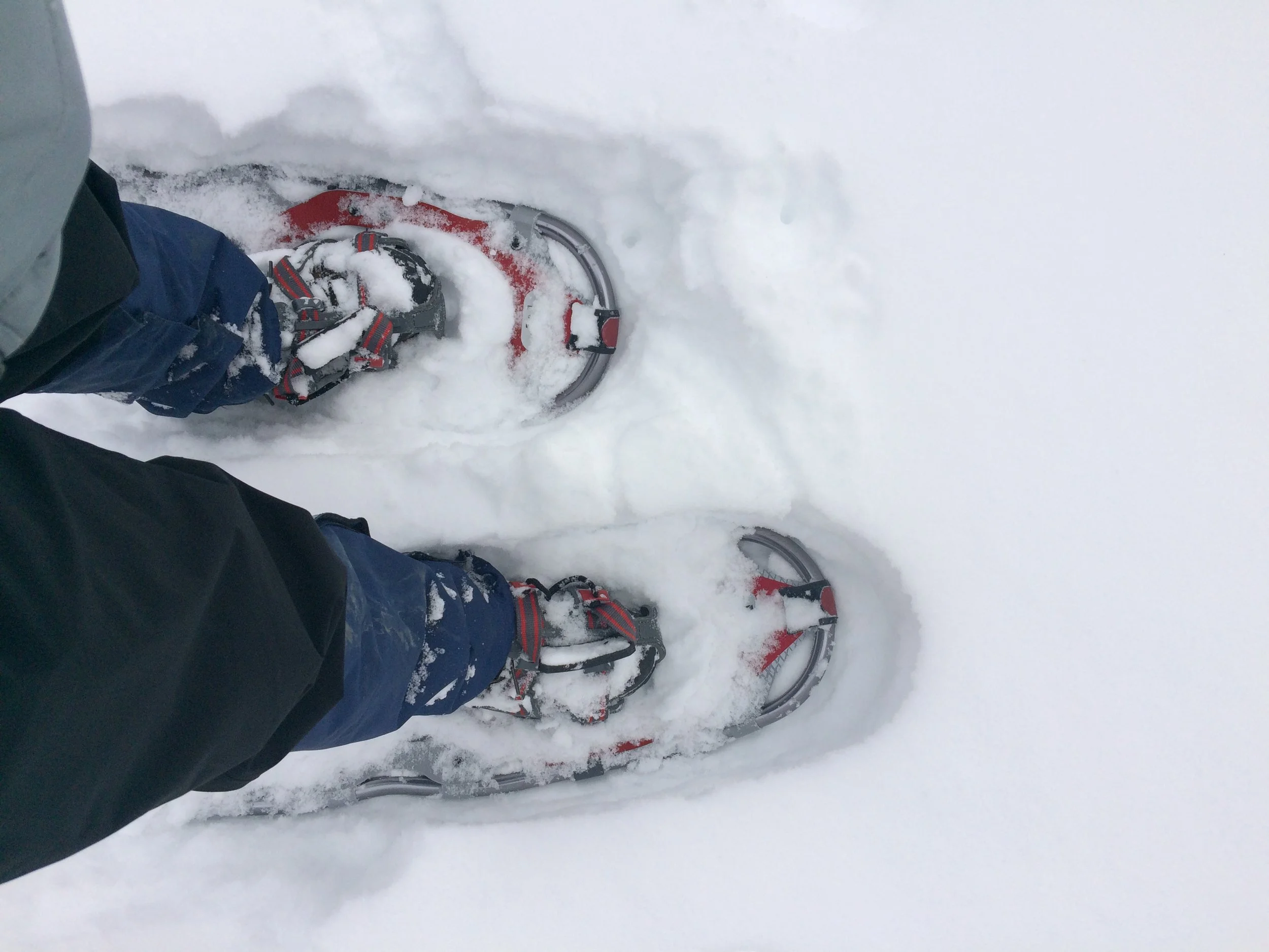 Show shoeing in Cheyenne Mountain State Park