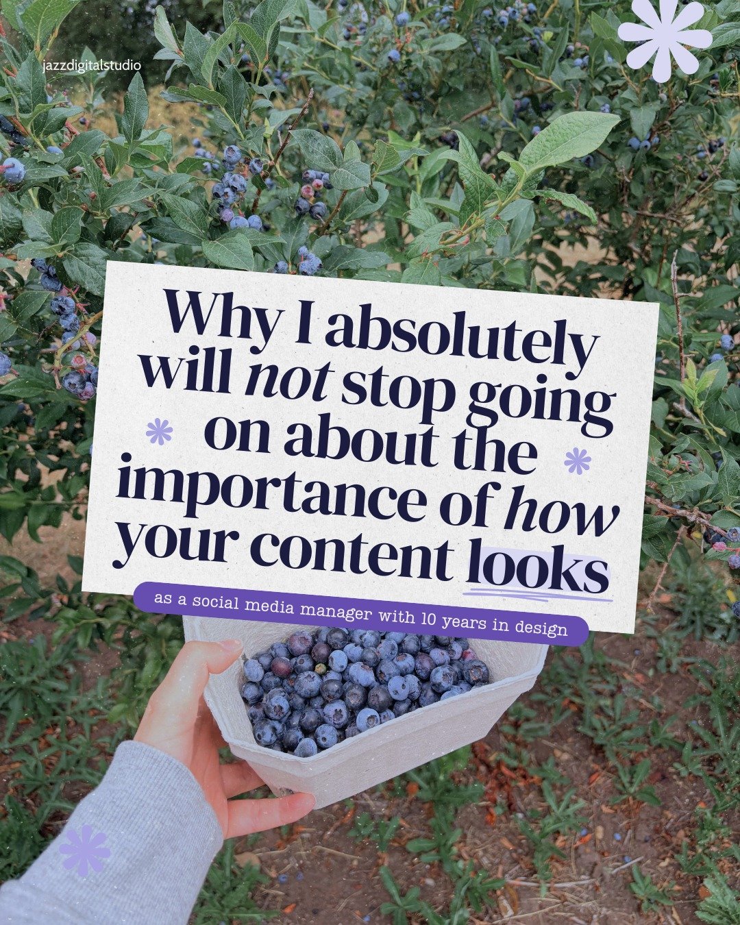 Design is my hill and I will die on it, okay? 😂

Every time I talk design and watch someone's shoulders tense up like I'm about to tell them to spend 3 hours in Canva, I just know they've been hearing all the wrong things about how their content 'co