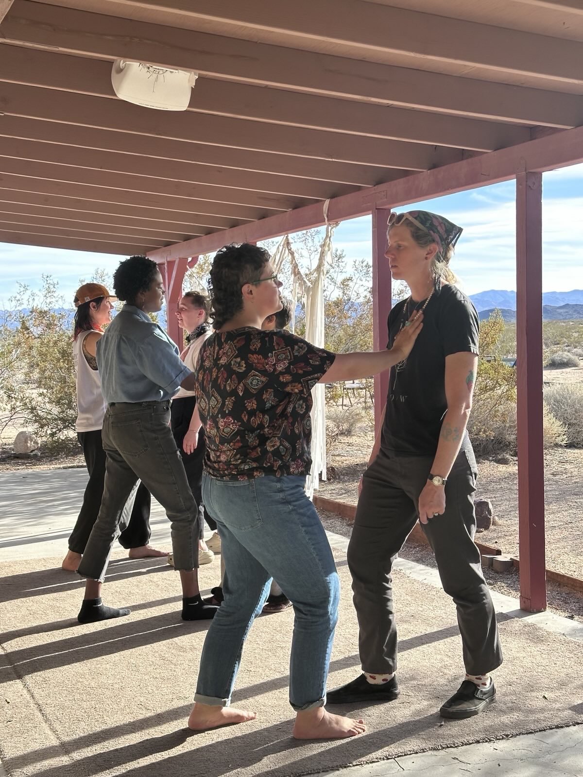 A multiracial group of people practicing a physical exercise or martial arts move on a porch in a desert landscape, with mountains in the background.