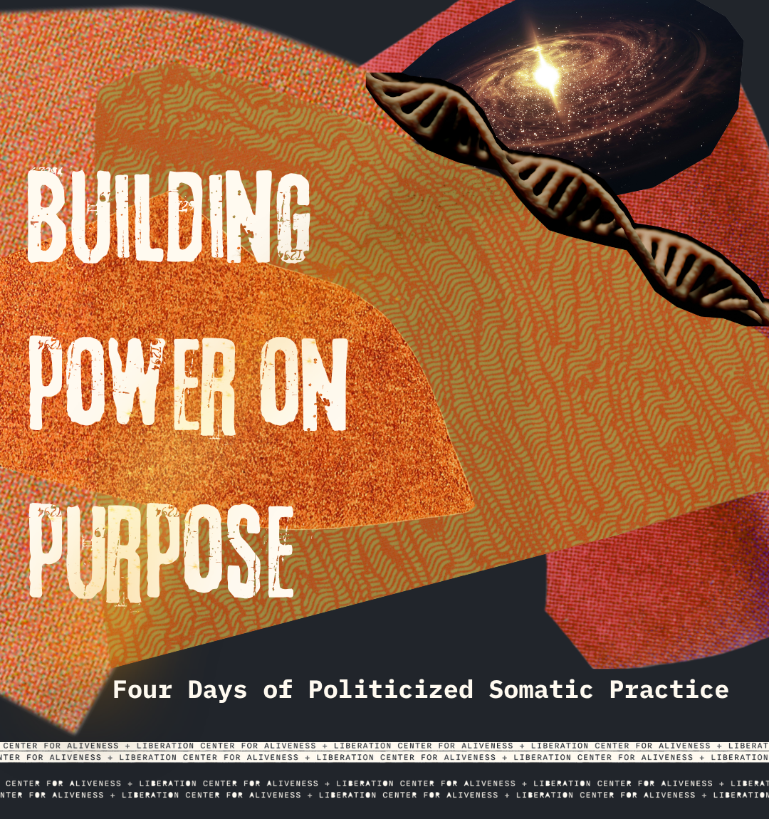Abstract graphic design with DNA strands, a galaxy, and textured backgrounds. Text overlay reads 'Building Power on Purpose' and 'Four Days of Politicized Somatic Practice'.
